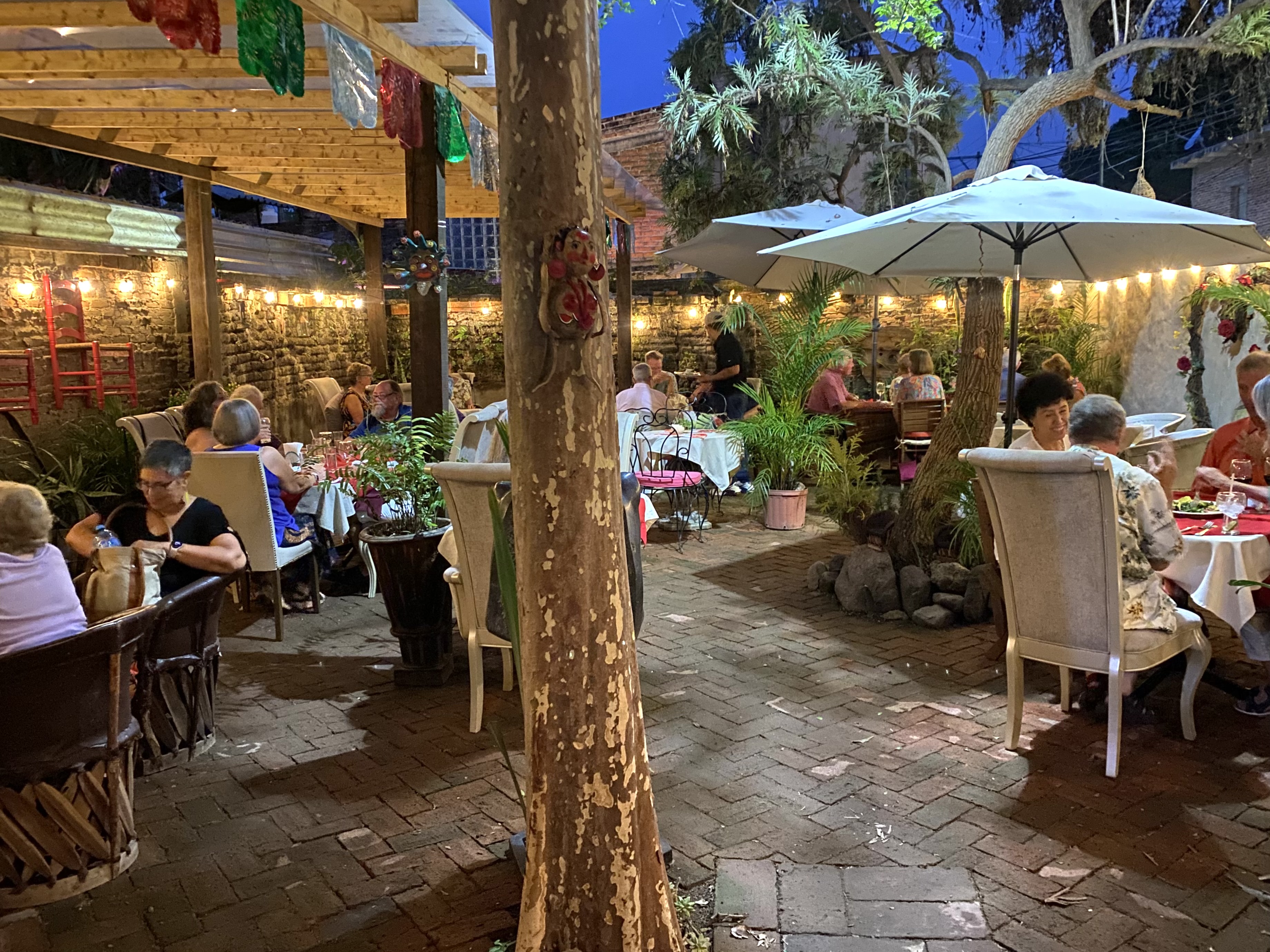 Rosemary Ajijic image 4