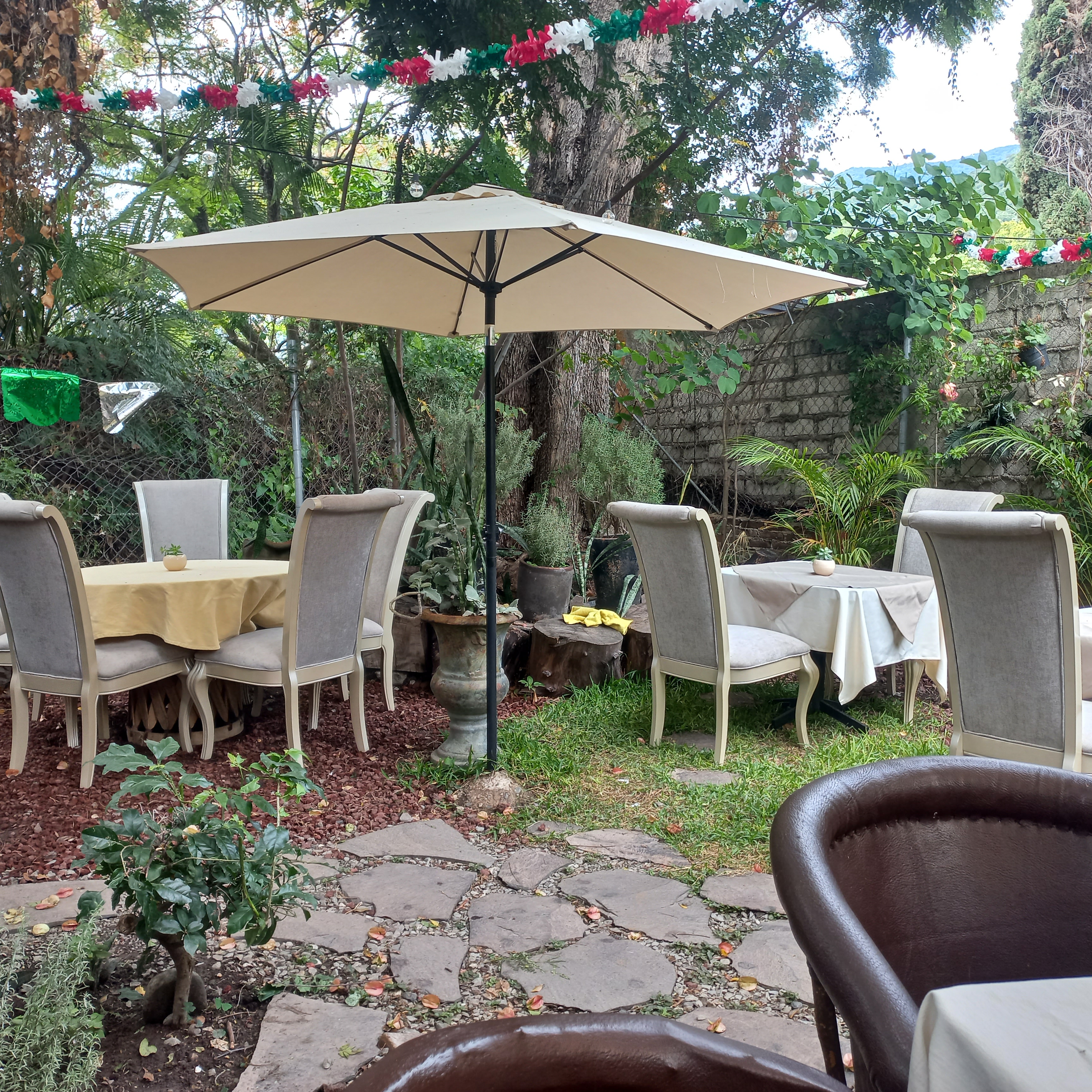 Rosemary Ajijic image 5