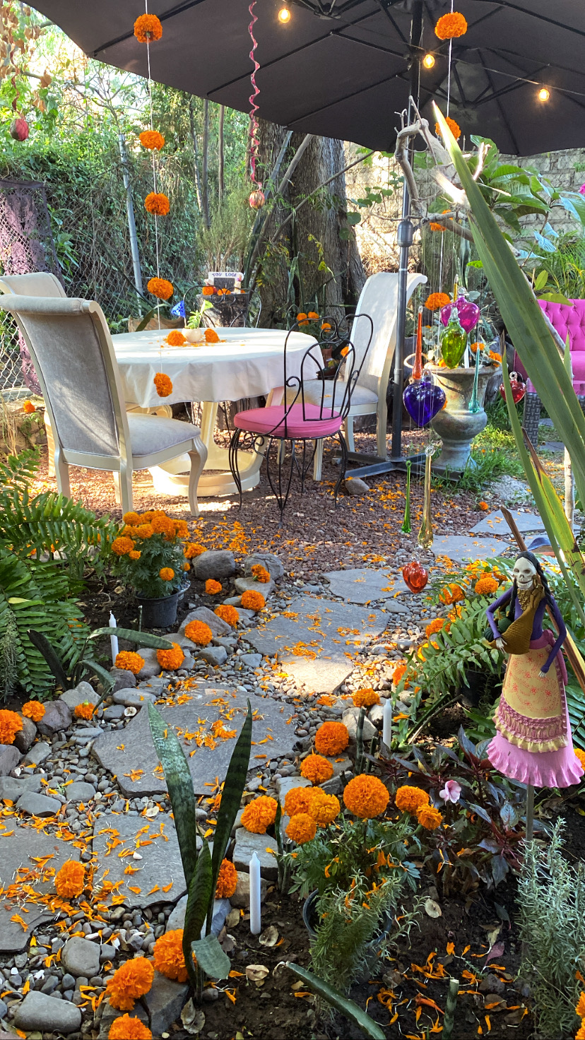 Rosemary Ajijic image 6