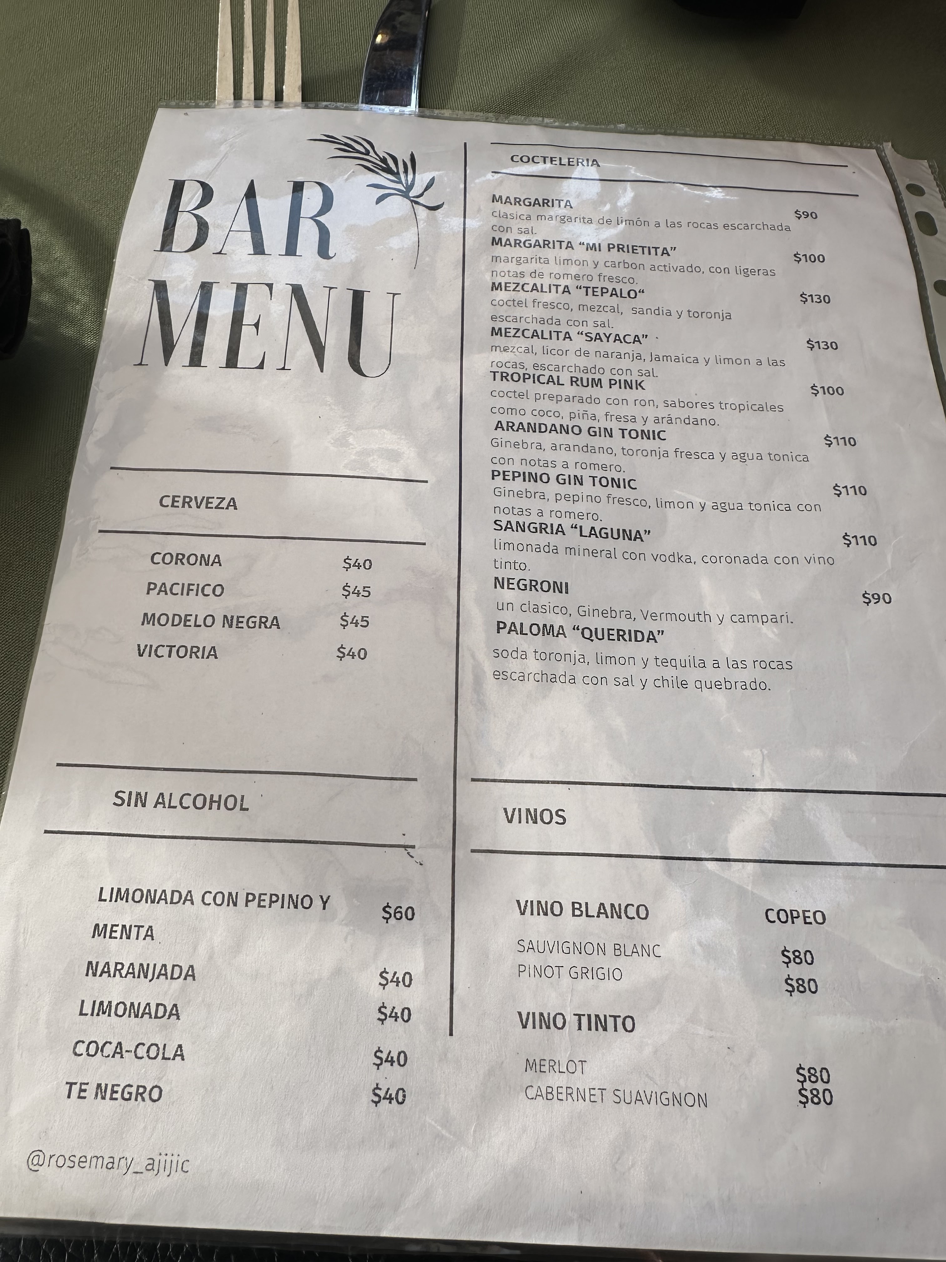 Rosemary Ajijic image 8