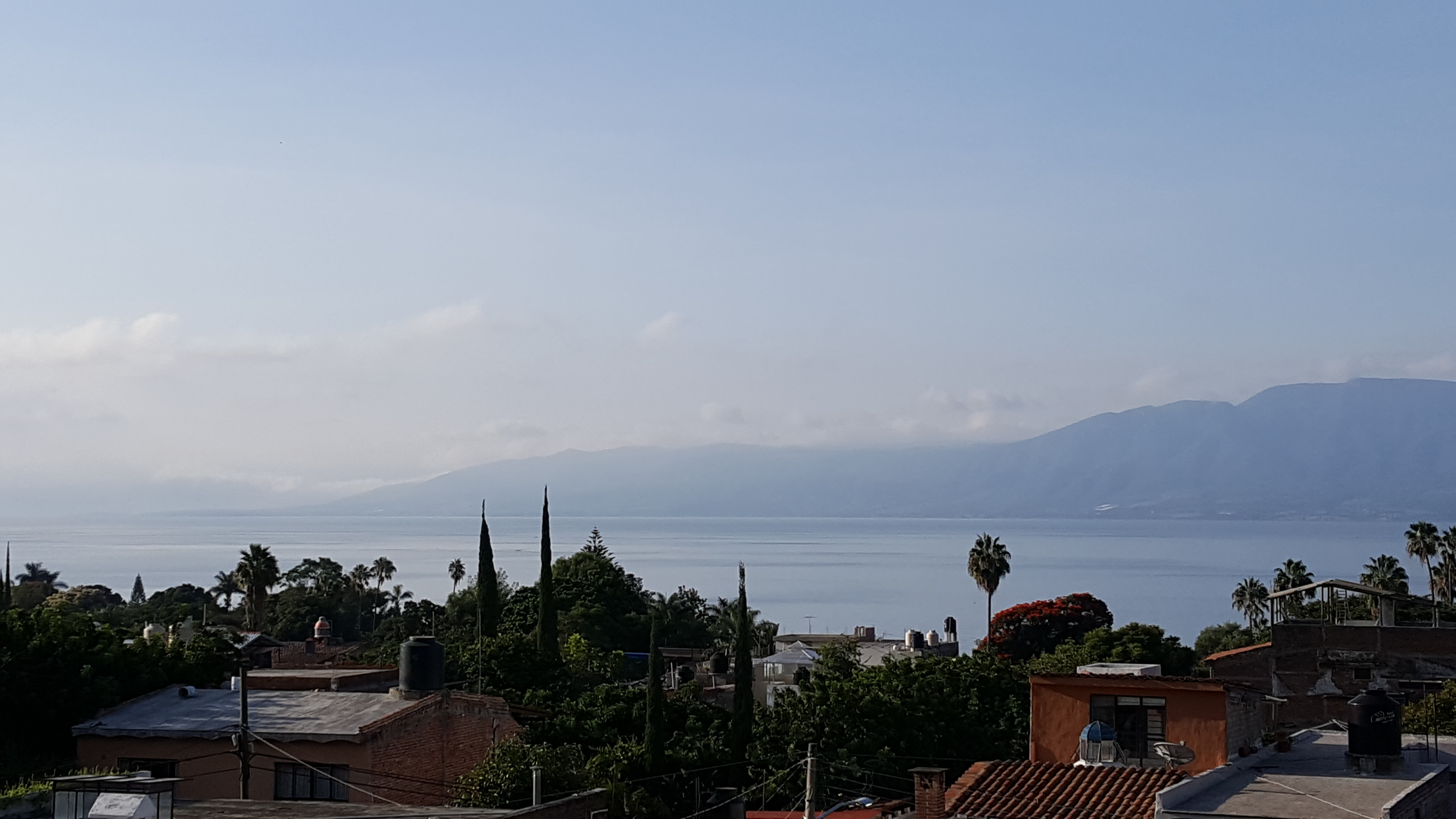 Fonda Dona Lola image 7