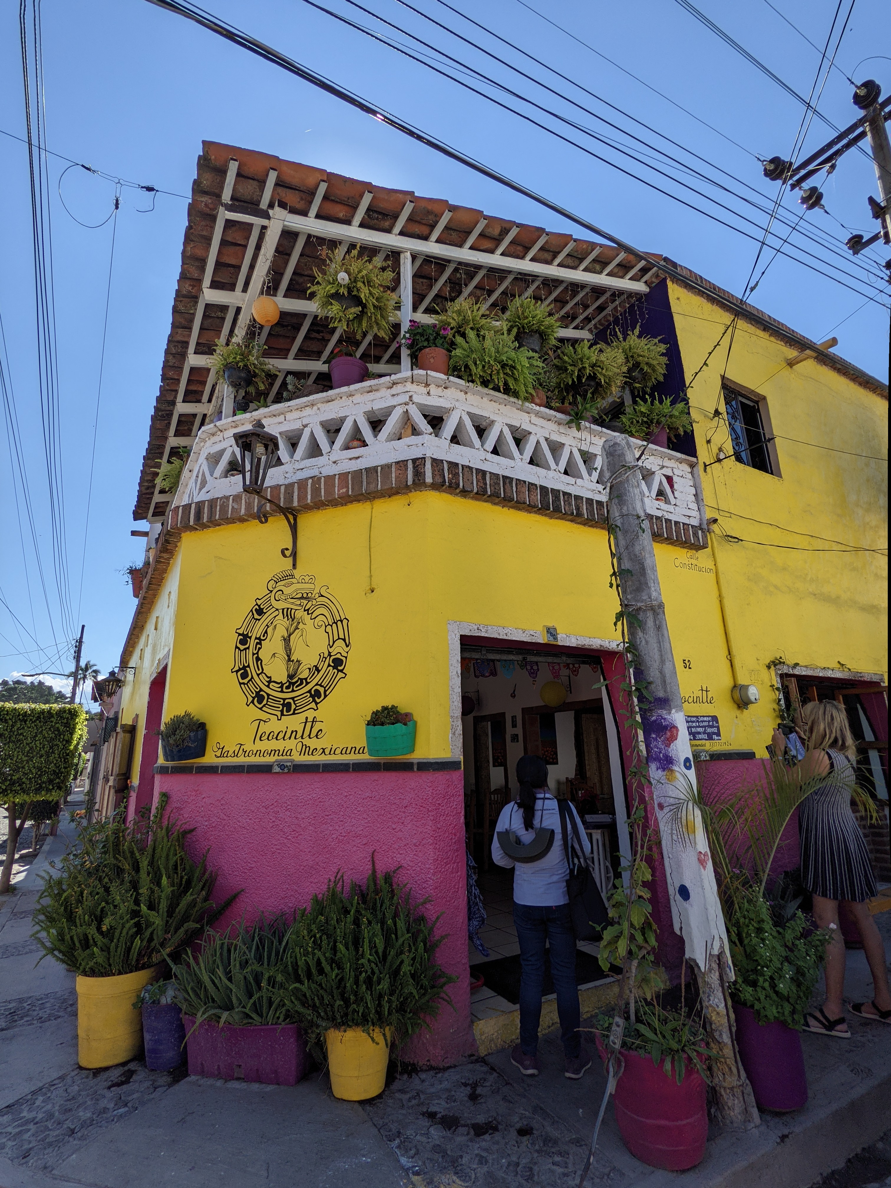 Teocintle Maiz image 1