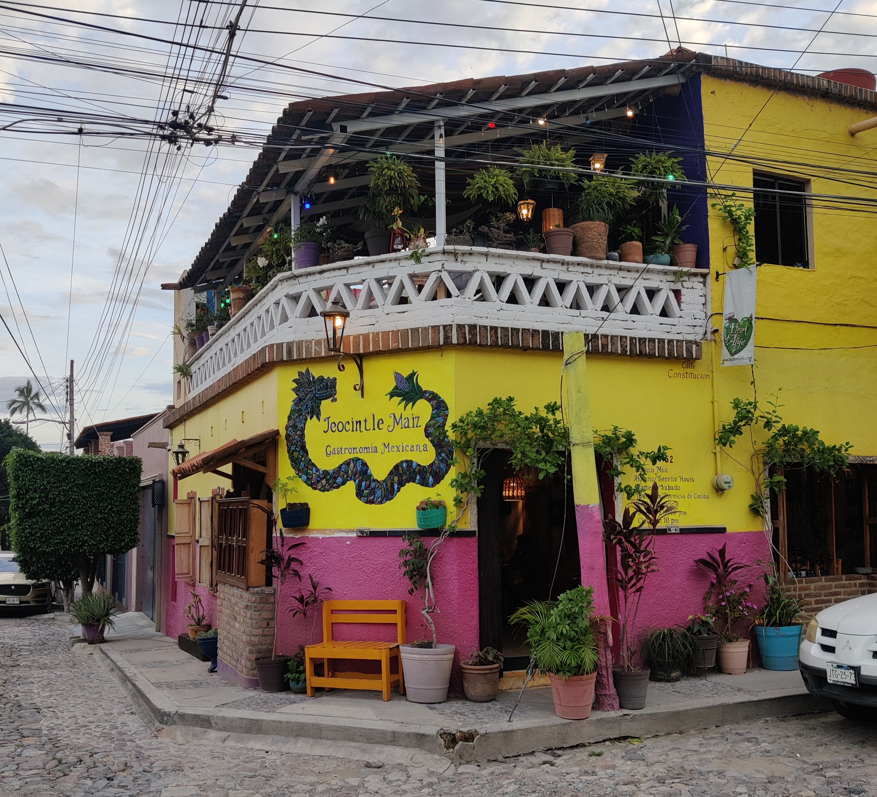 Teocintle Maiz image 4