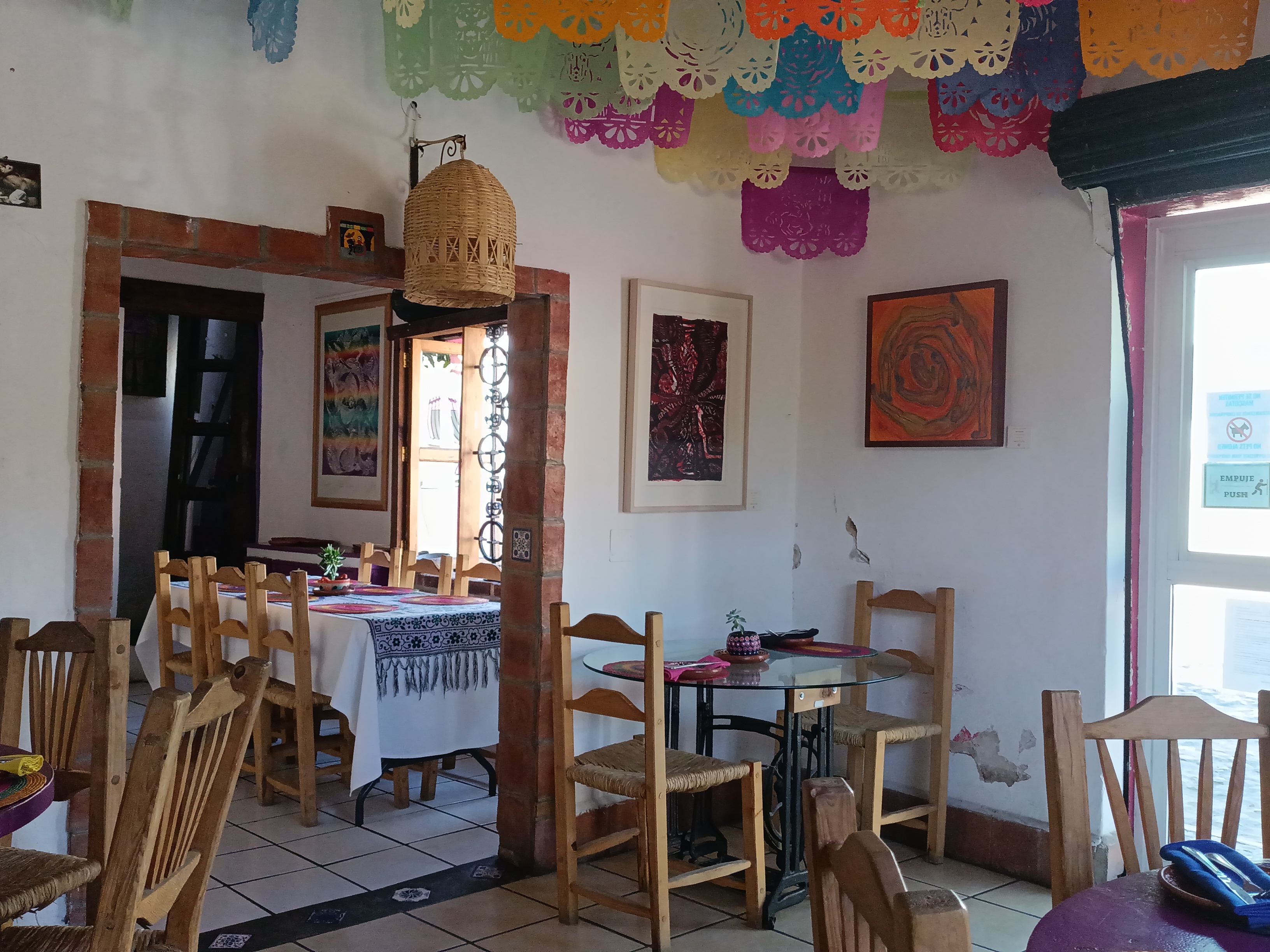 Teocintle Maiz image 5