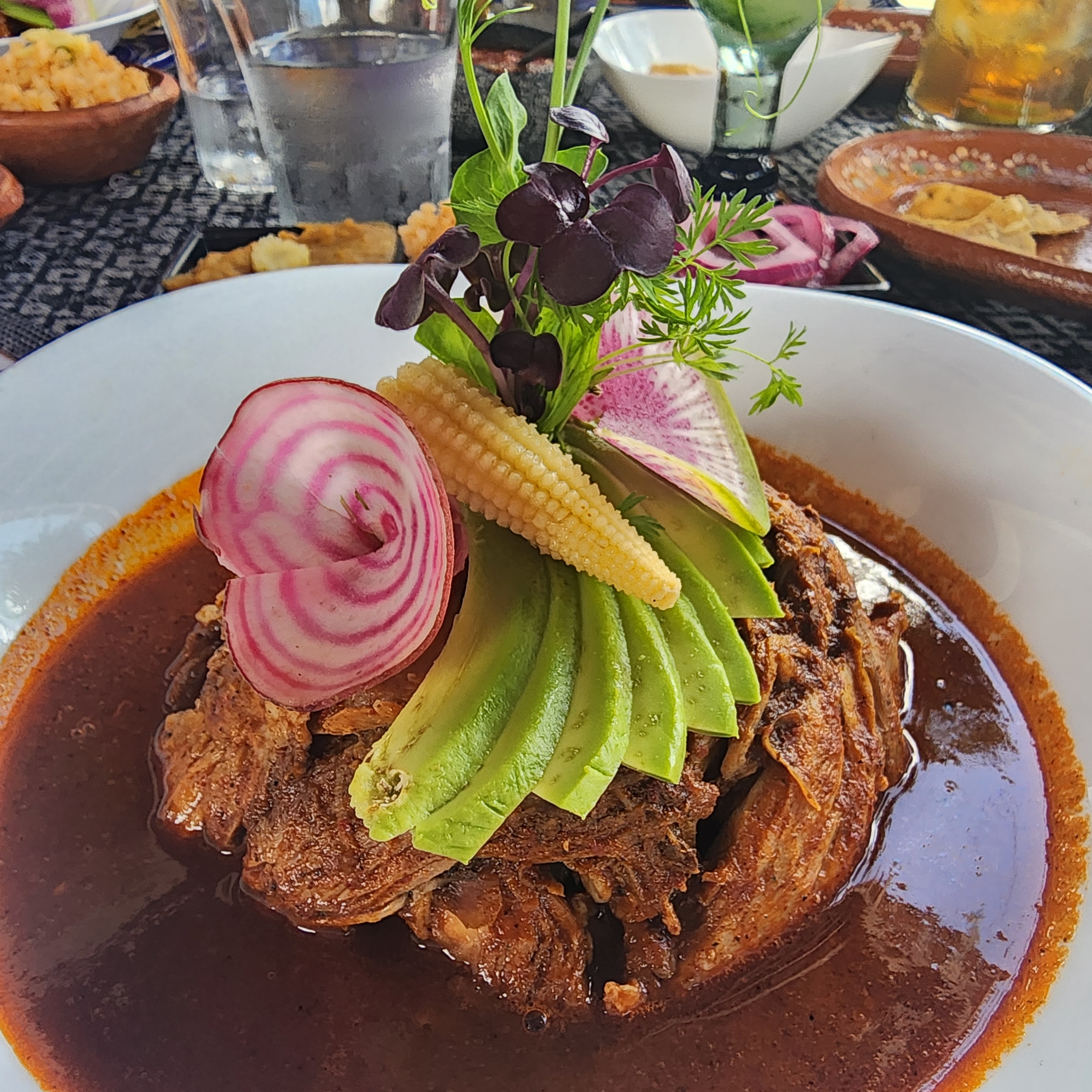 Teocintle Maiz image 6