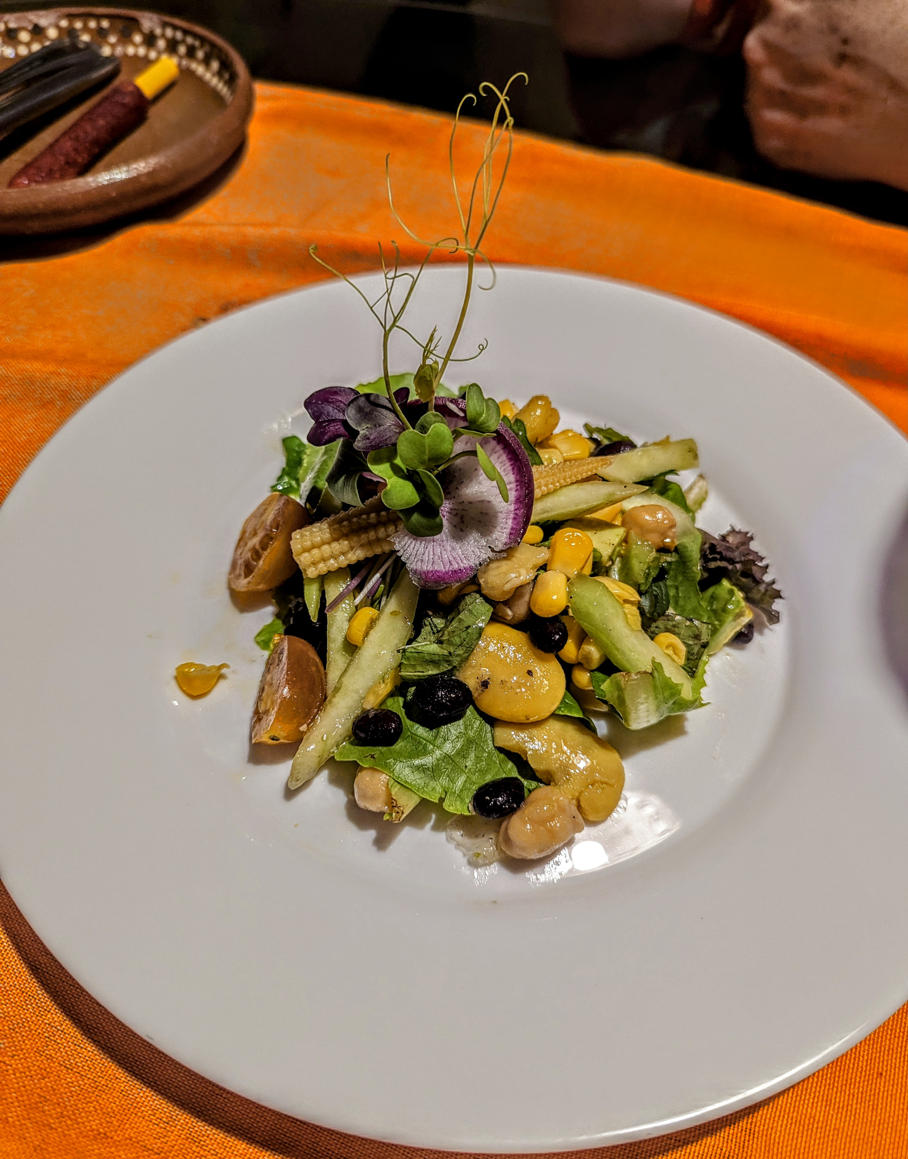 Teocintle Maiz image 7