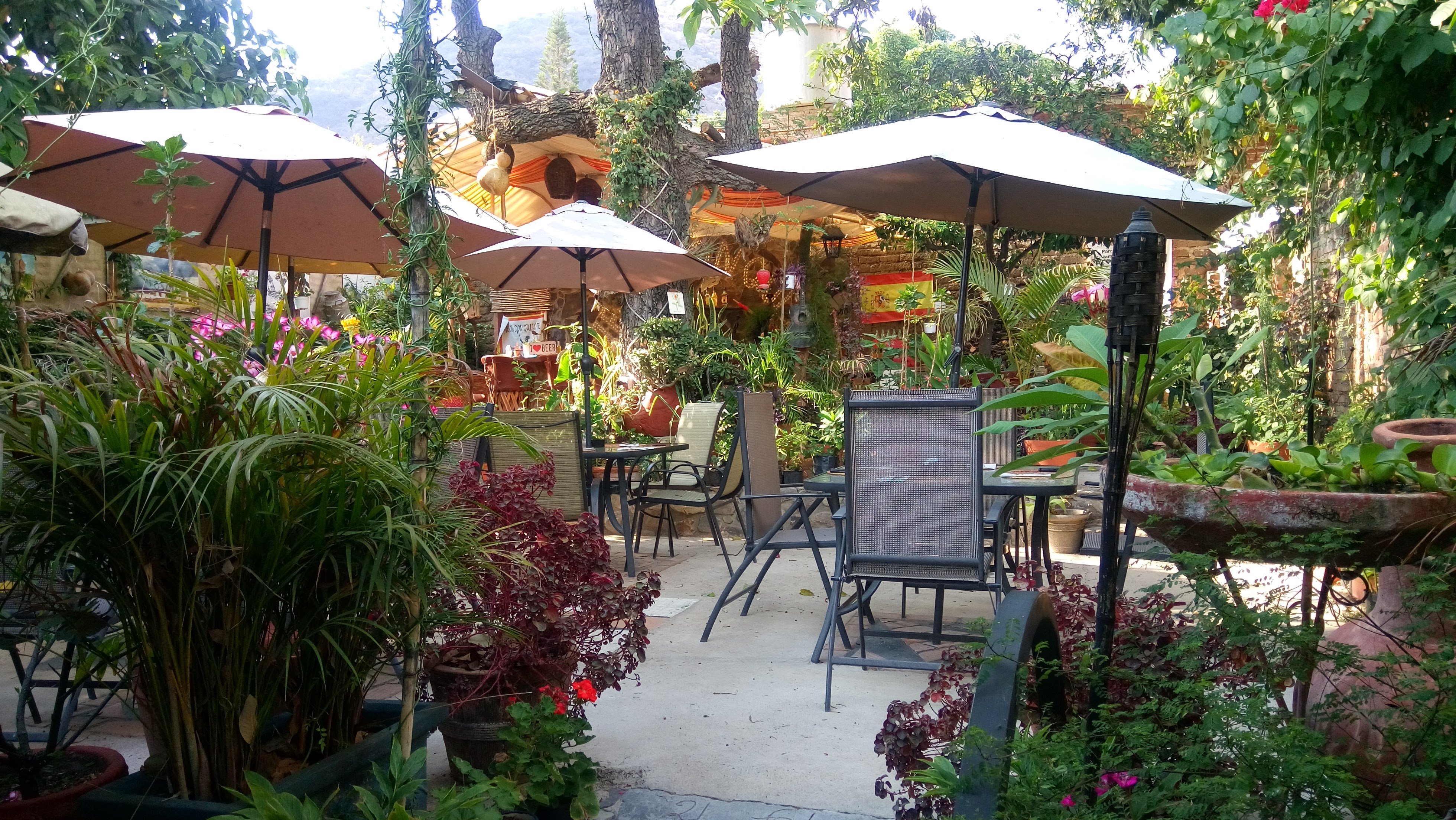 Mesón Don Quijote image 1