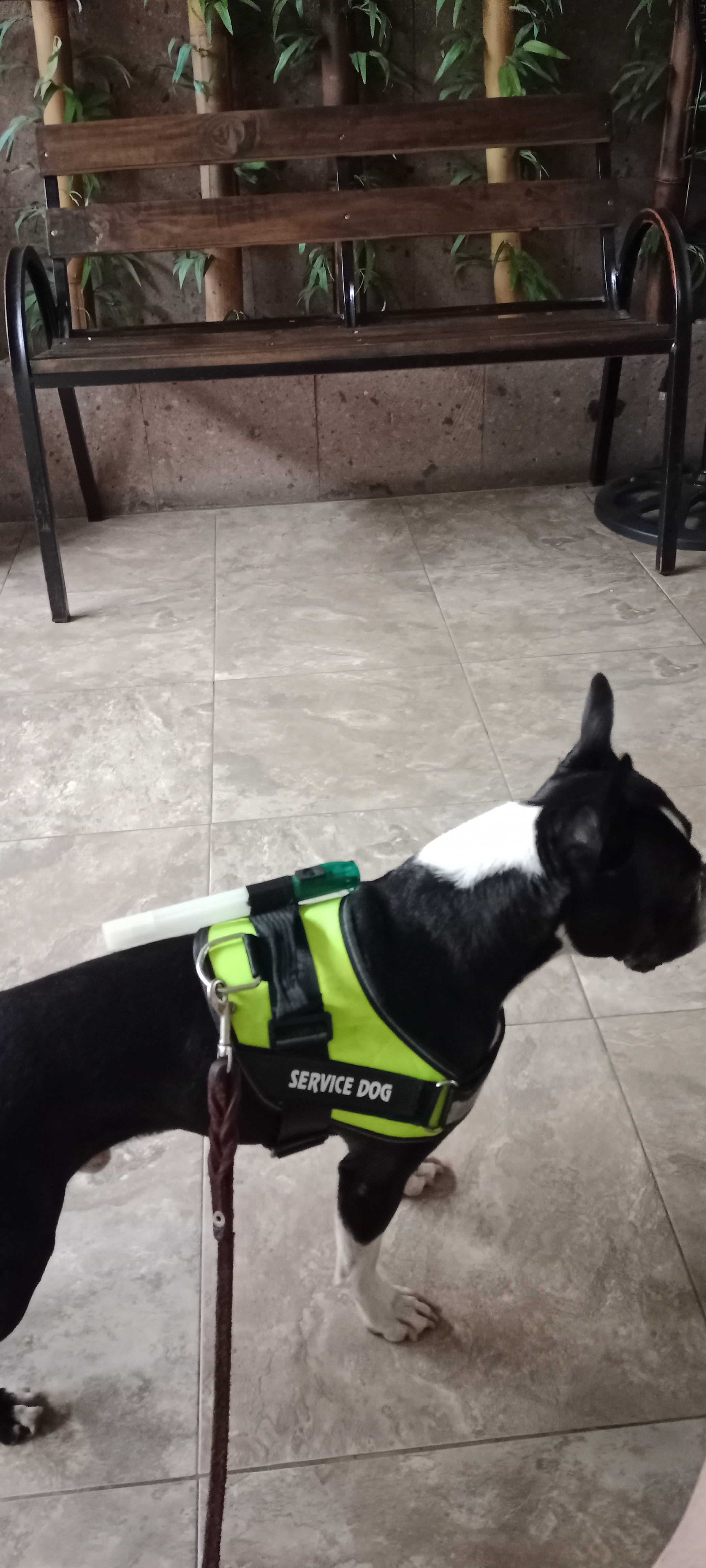 Restaurante La Quechería Servicio de Catering Comida Corrida en Querétaro image 5