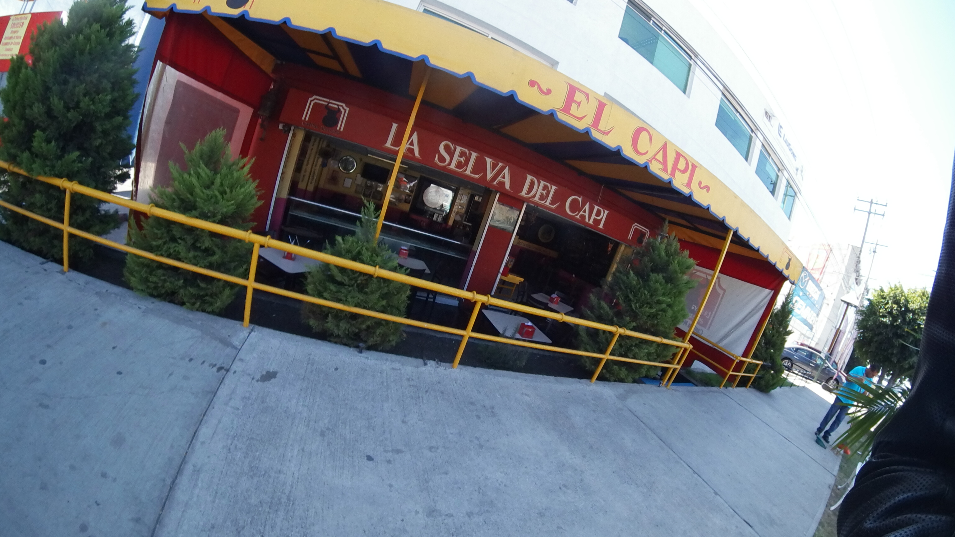 La Selva Del Capi image 1