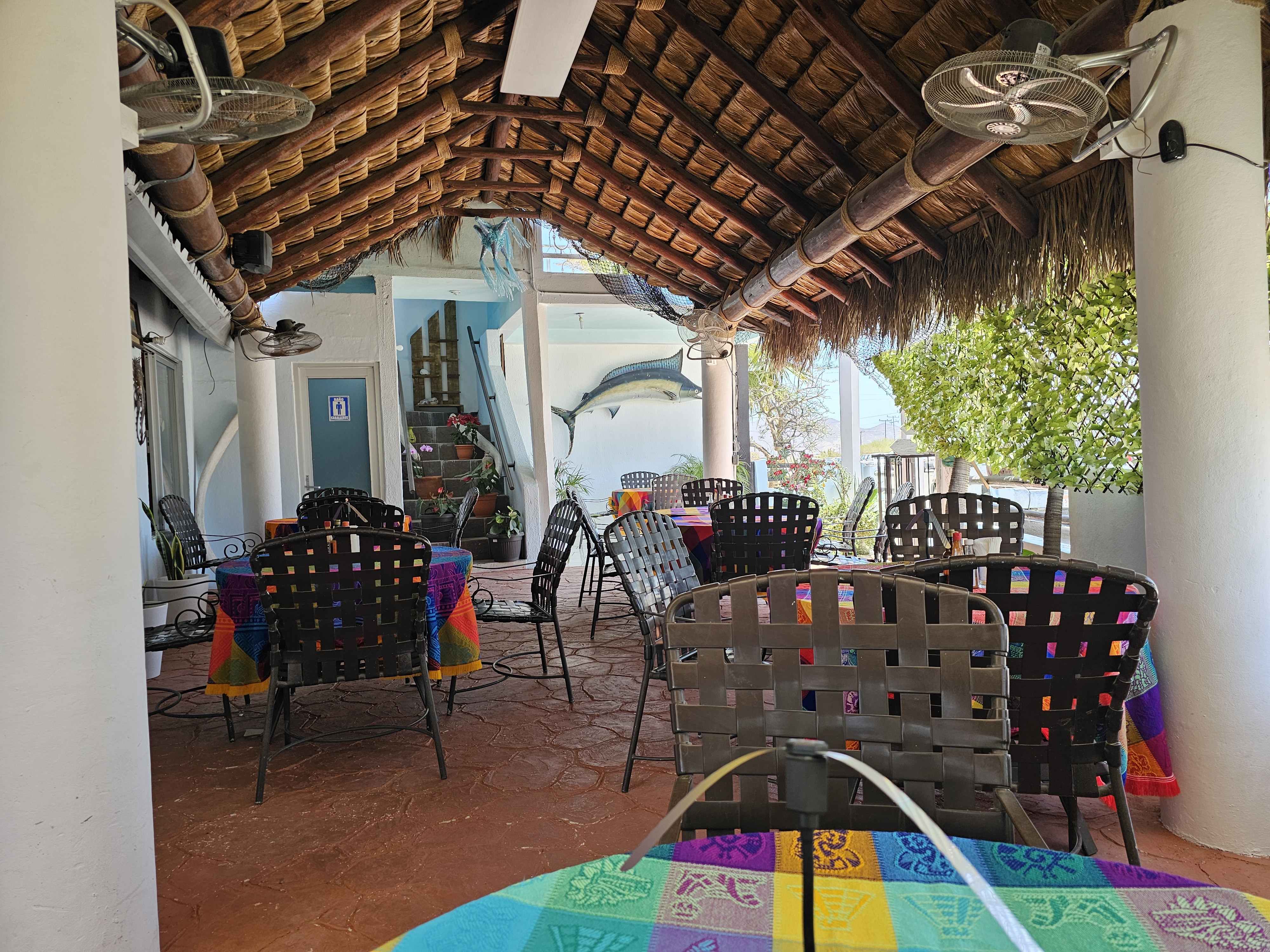 La Palapa image 1