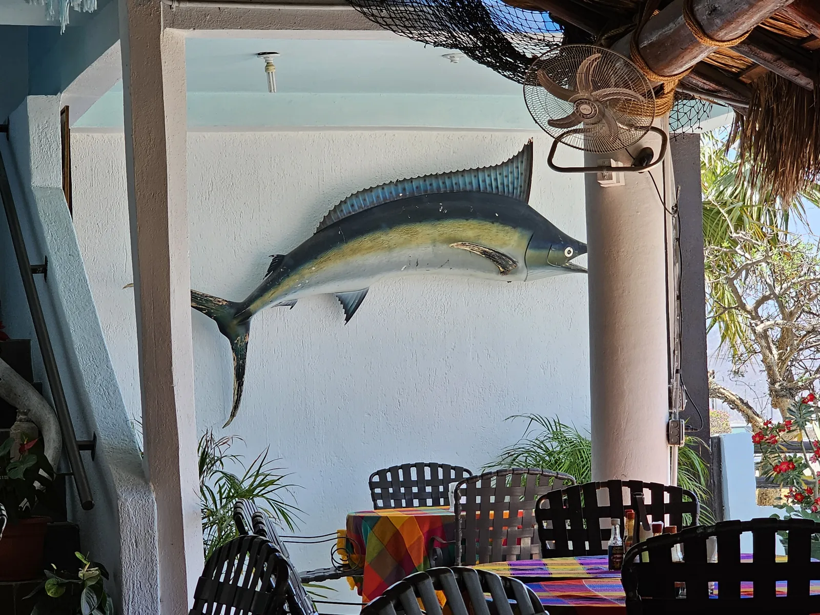 La Palapa image 5