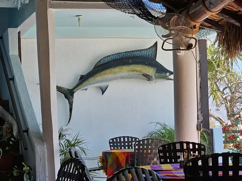 La Palapa image 5