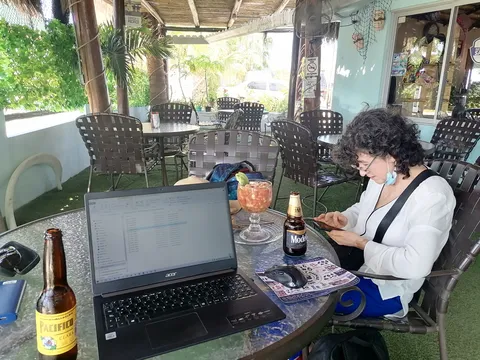 La Palapa image 8