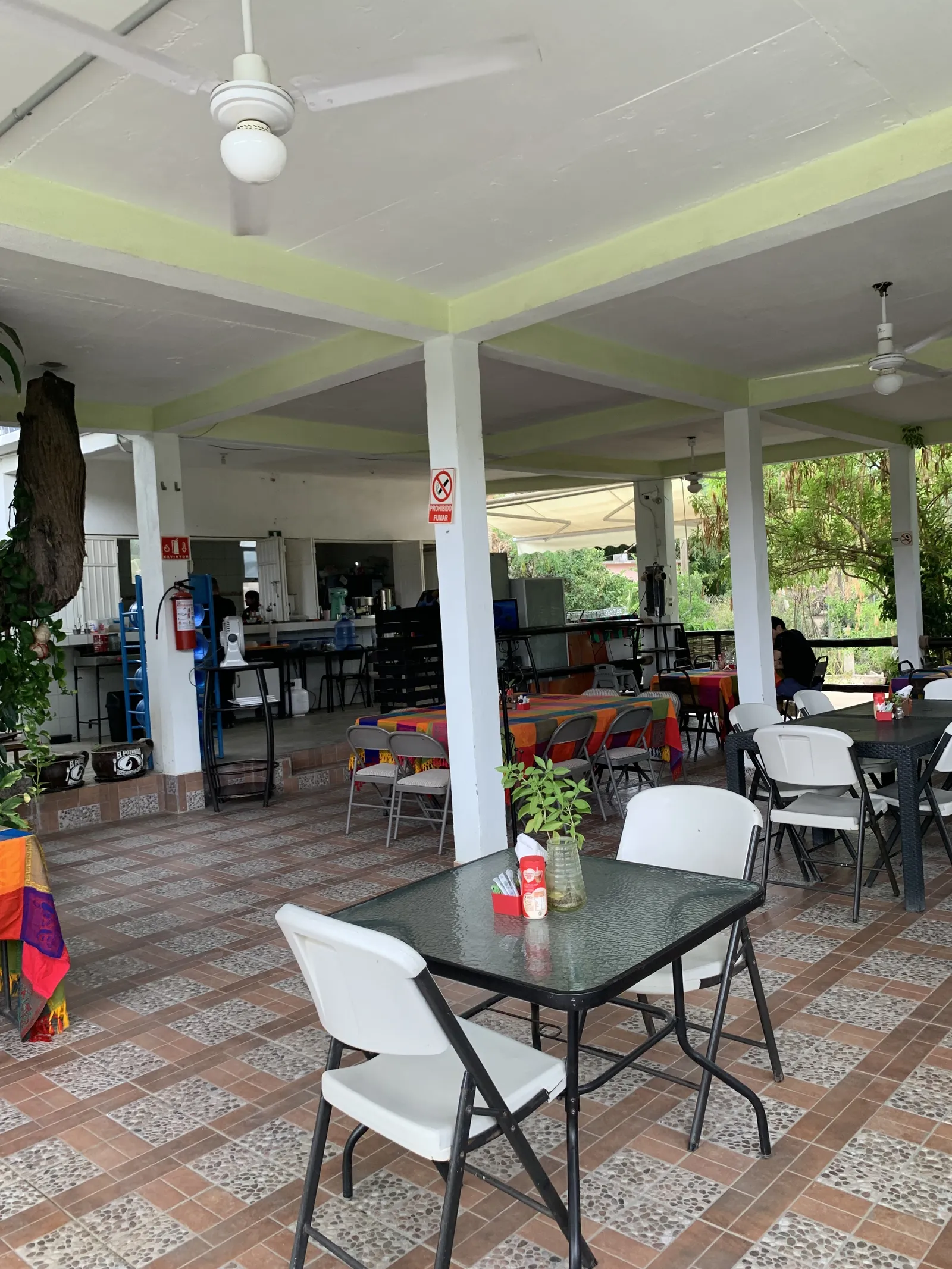 El POTRERO image 9