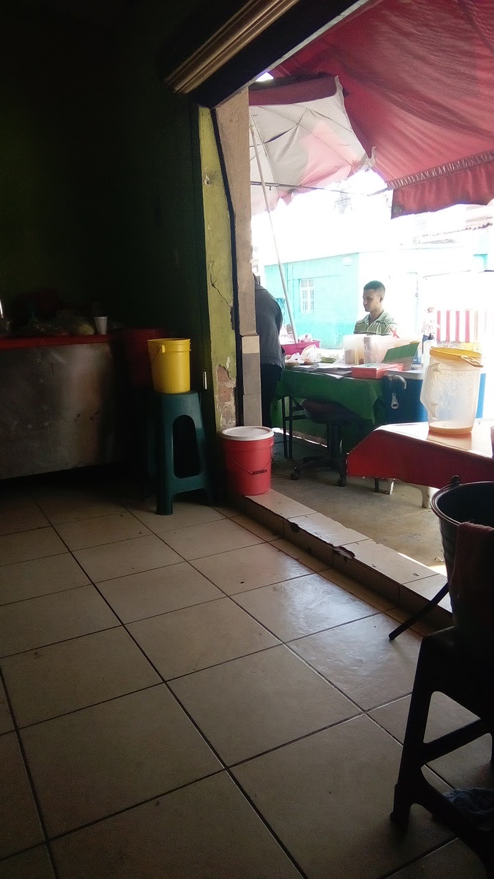 Tacos Al Vapor "ROCIO" image 8