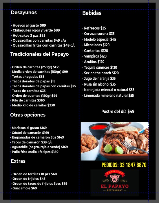 Carnitas El Papayo Restaurant image 6