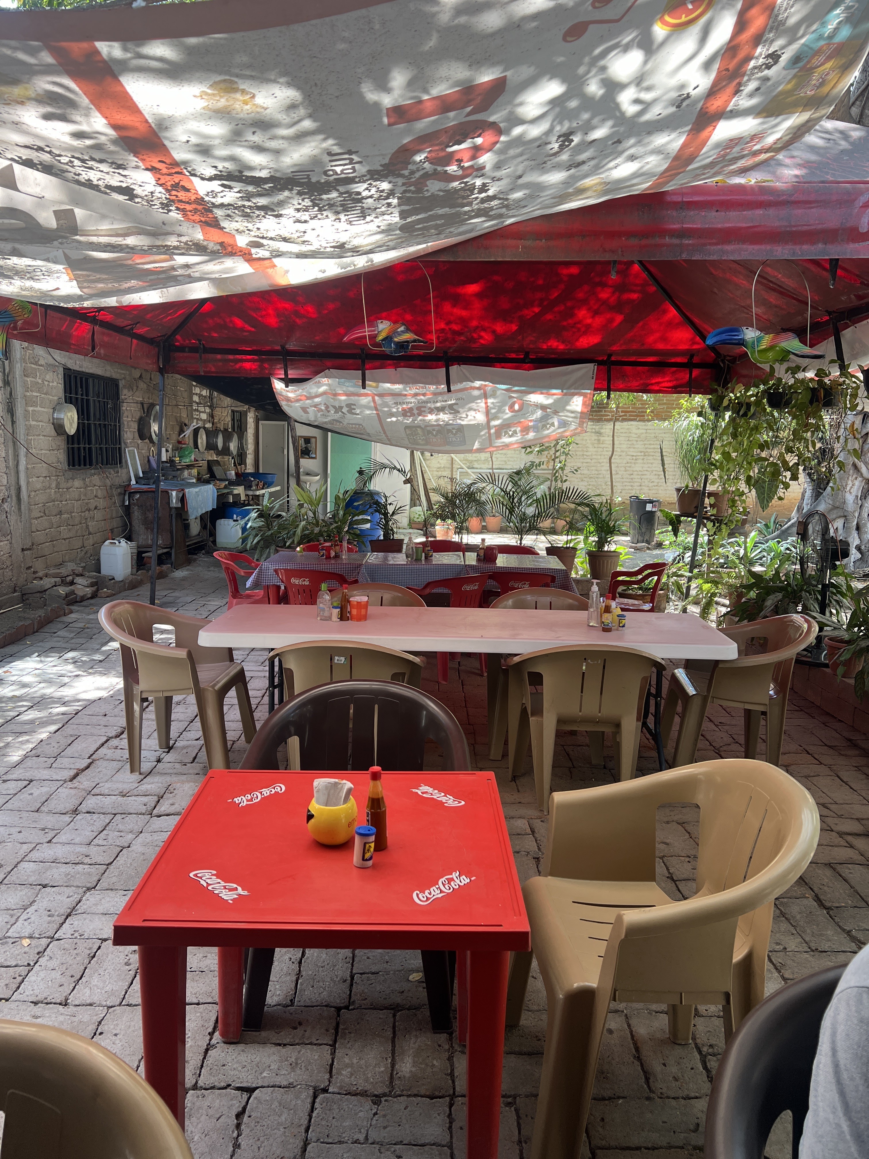 El Pollo Rico image 1