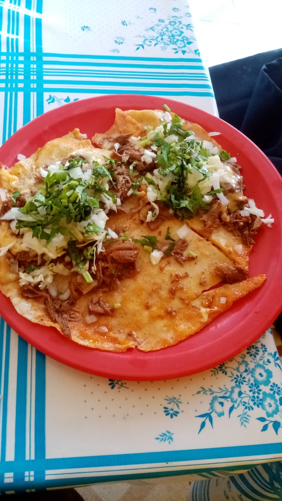 Birria y algo más image 2