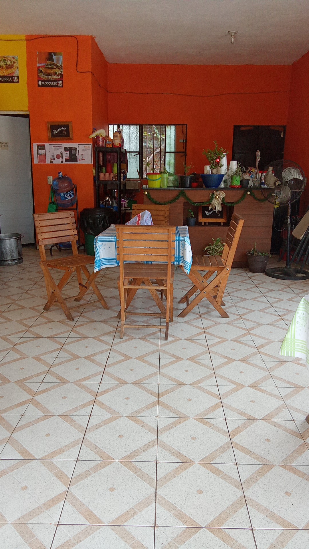 Birria y algo más image 4