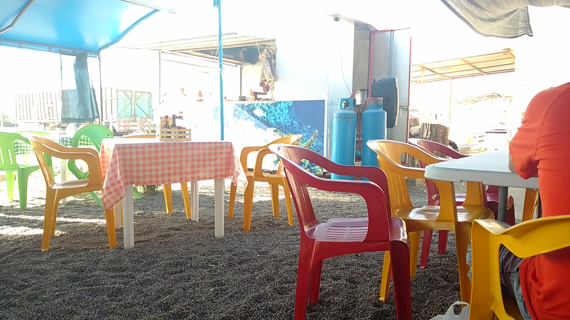 Arrecife de la Bahía image 3