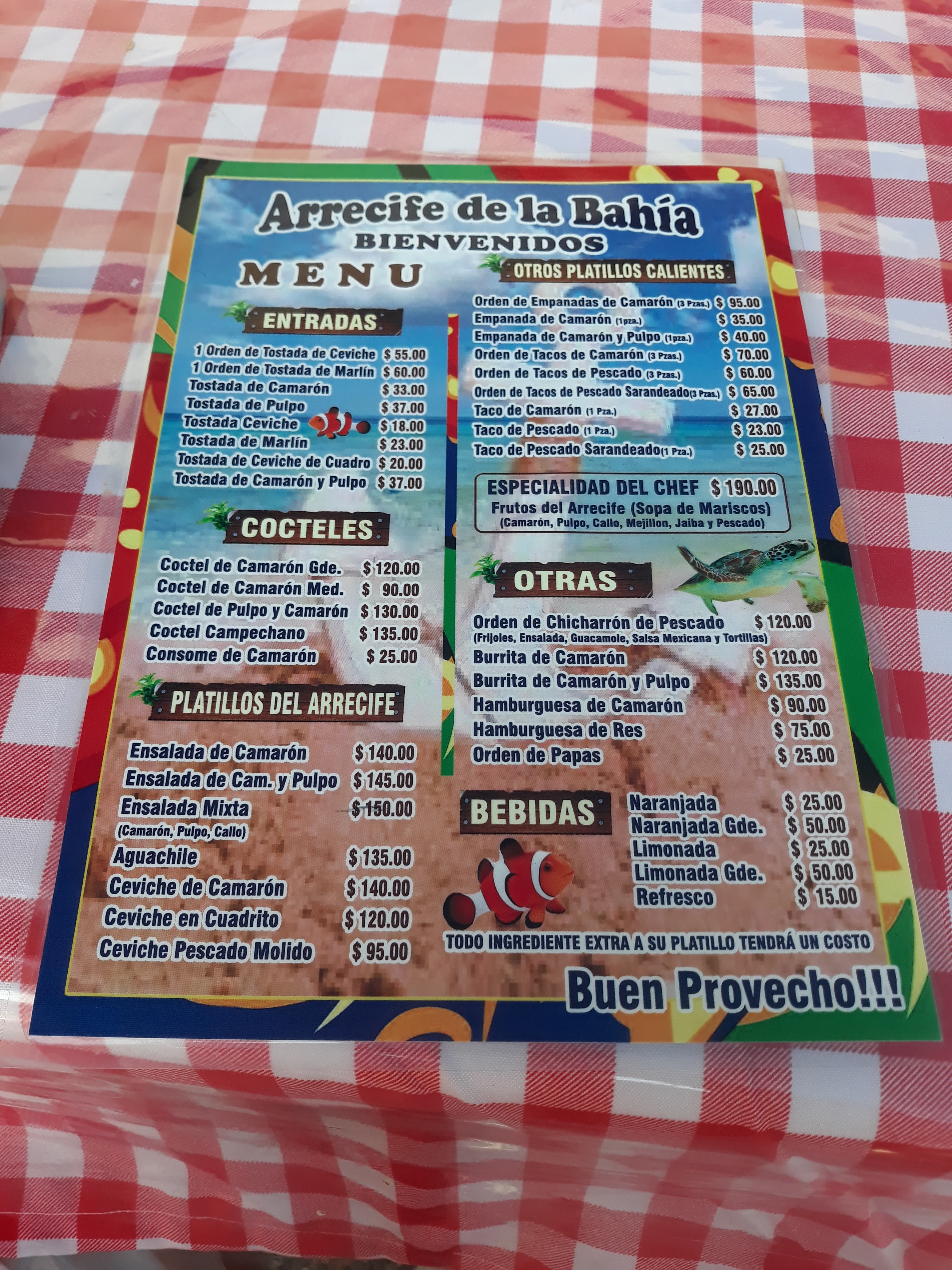 Arrecife de la Bahía image 7