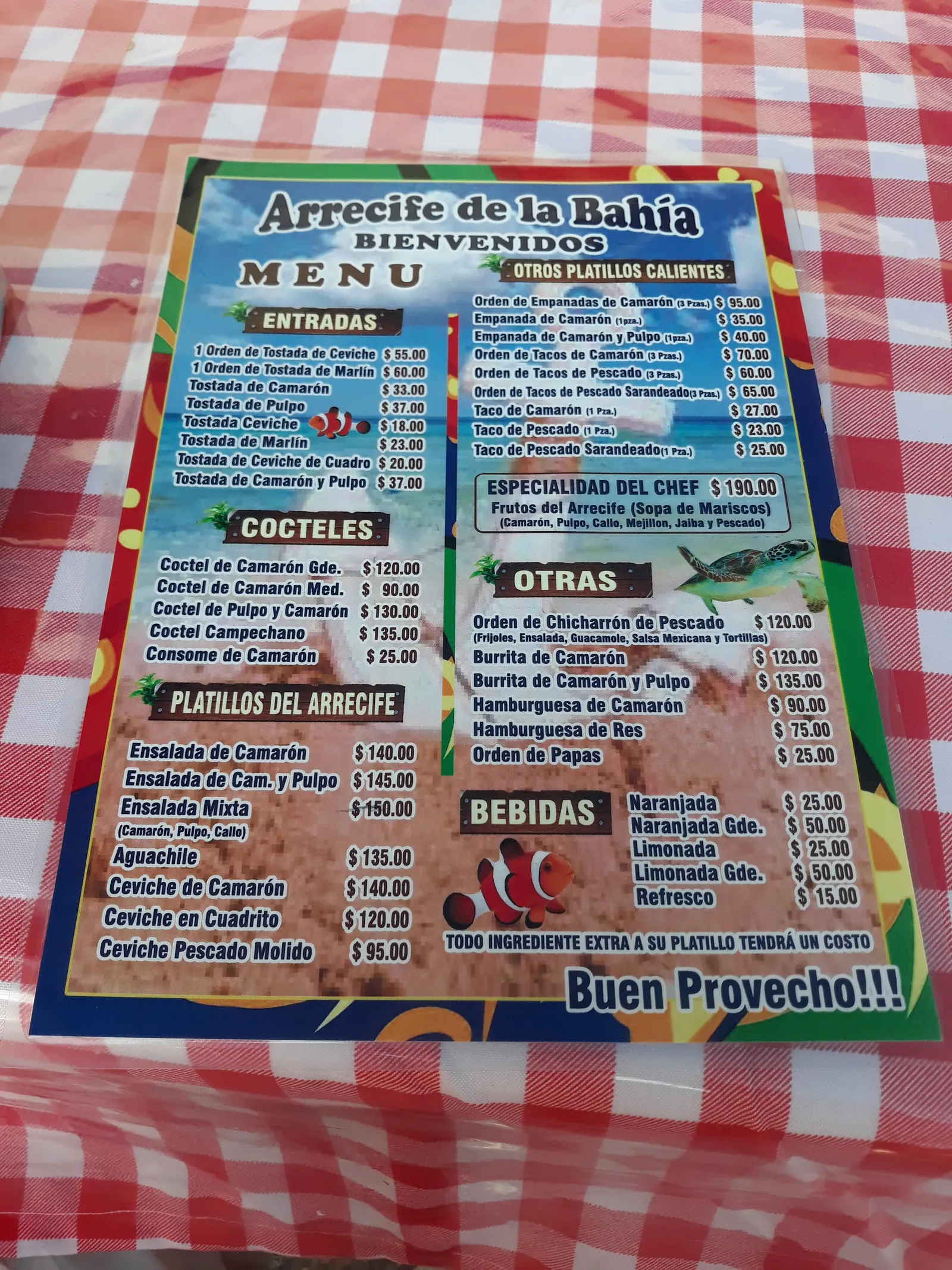 Arrecife de la Bahía image 7