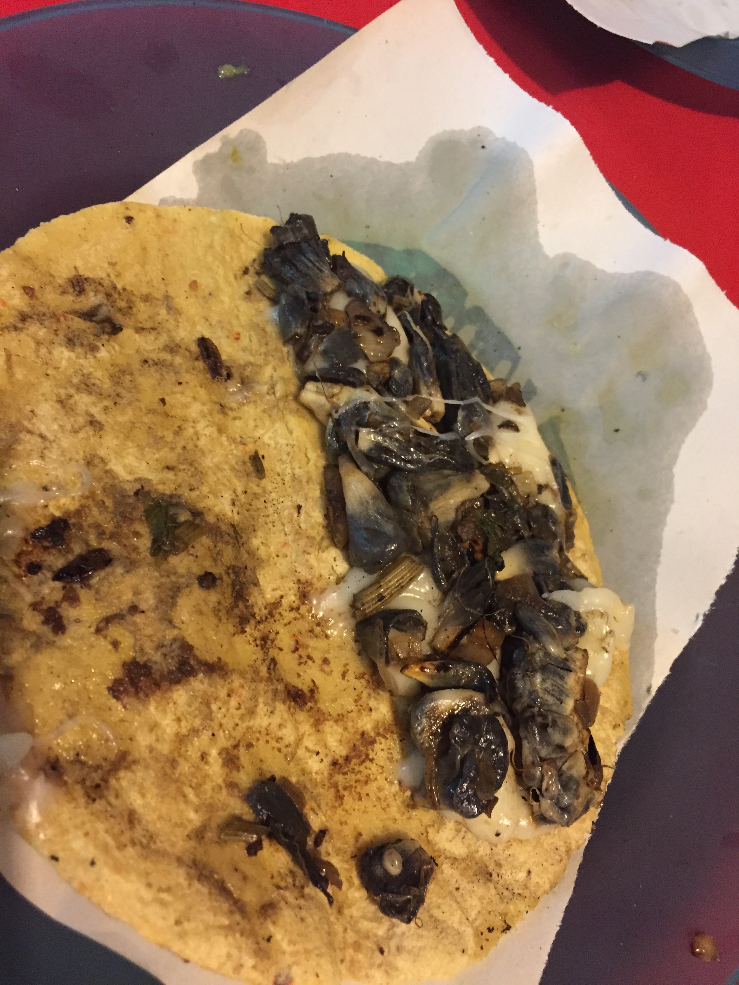 Antojitos Mexicanos "Los Sánchez" Cuatro Ciénegas Coah. image 9