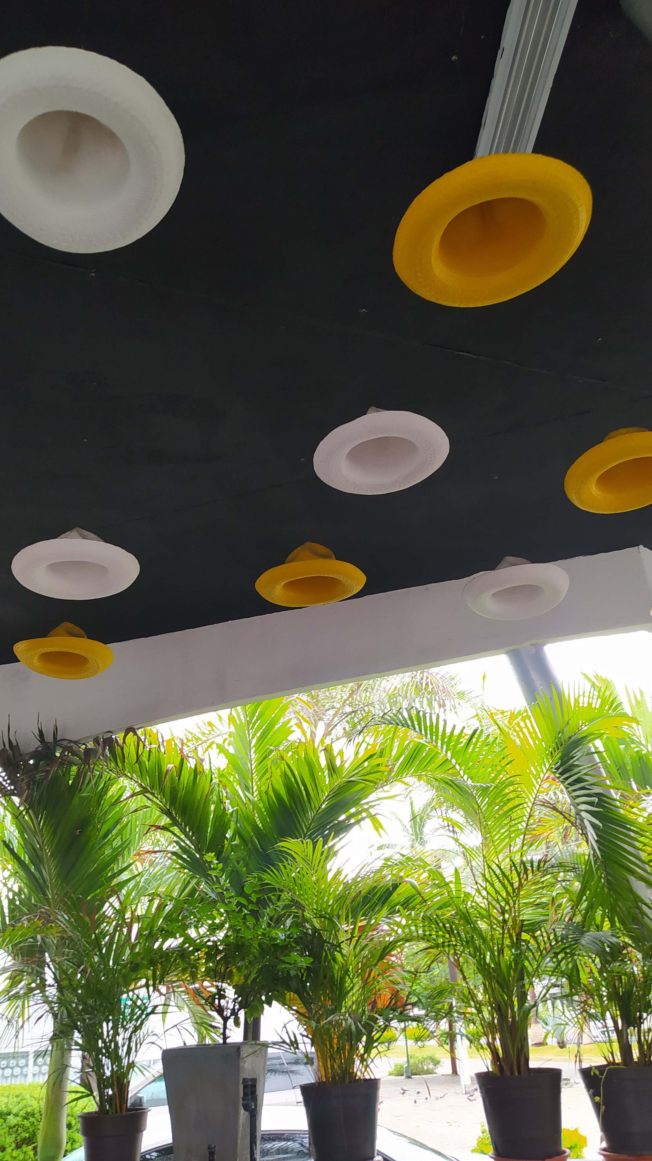 Sabor Veracruzano Plaza Santa Fe image 8