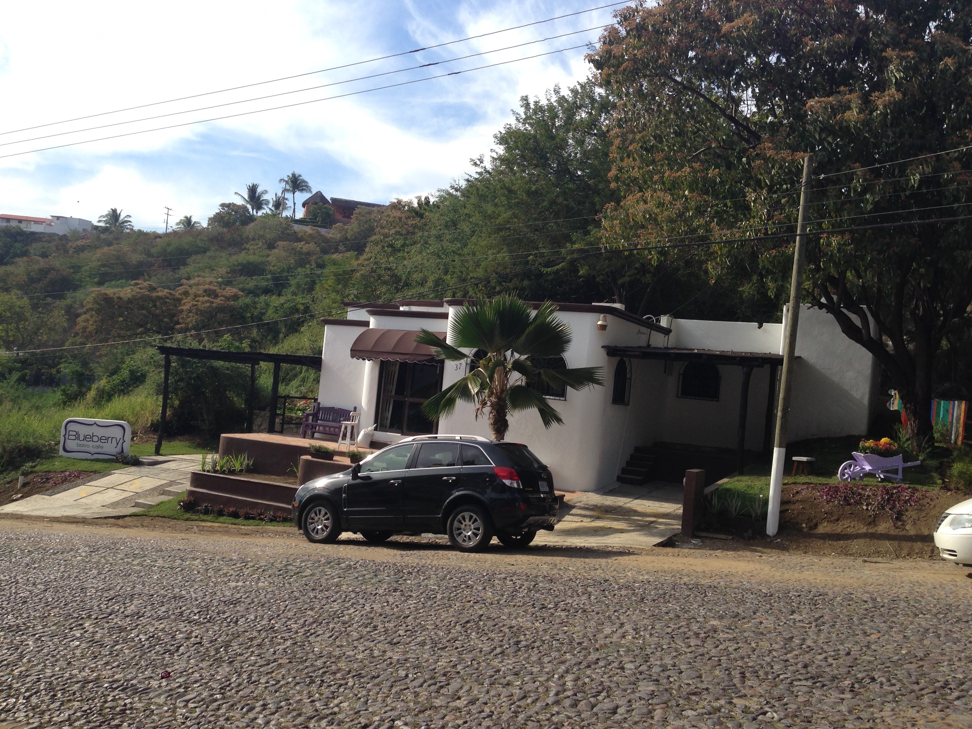 Blueberry bistro cafe image 4