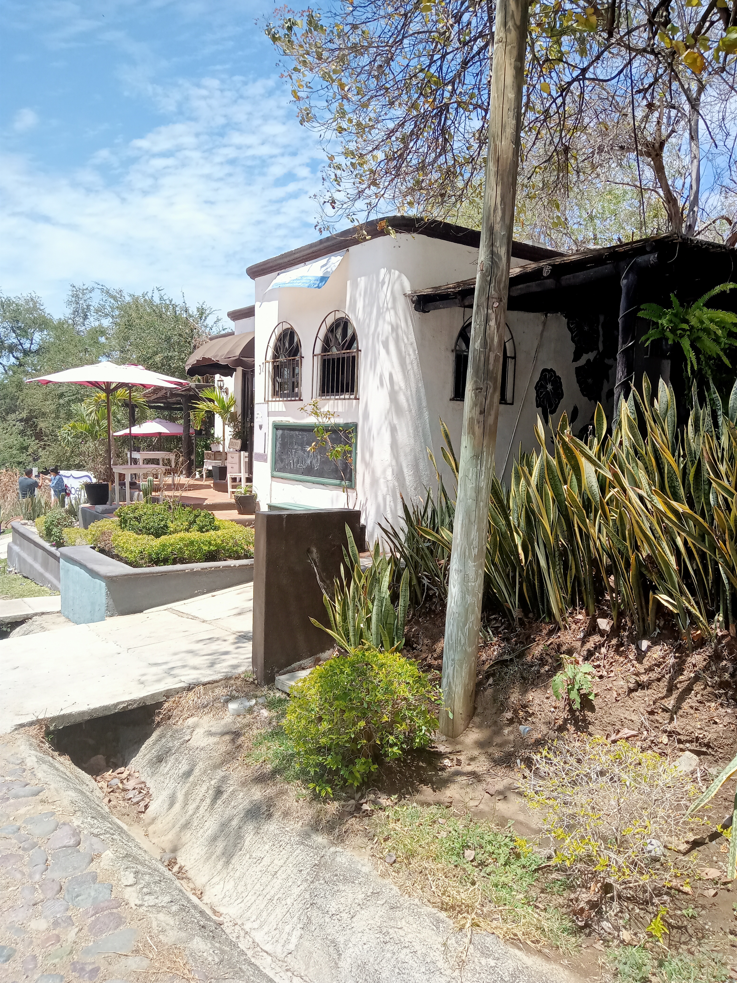 Blueberry bistro cafe image 6