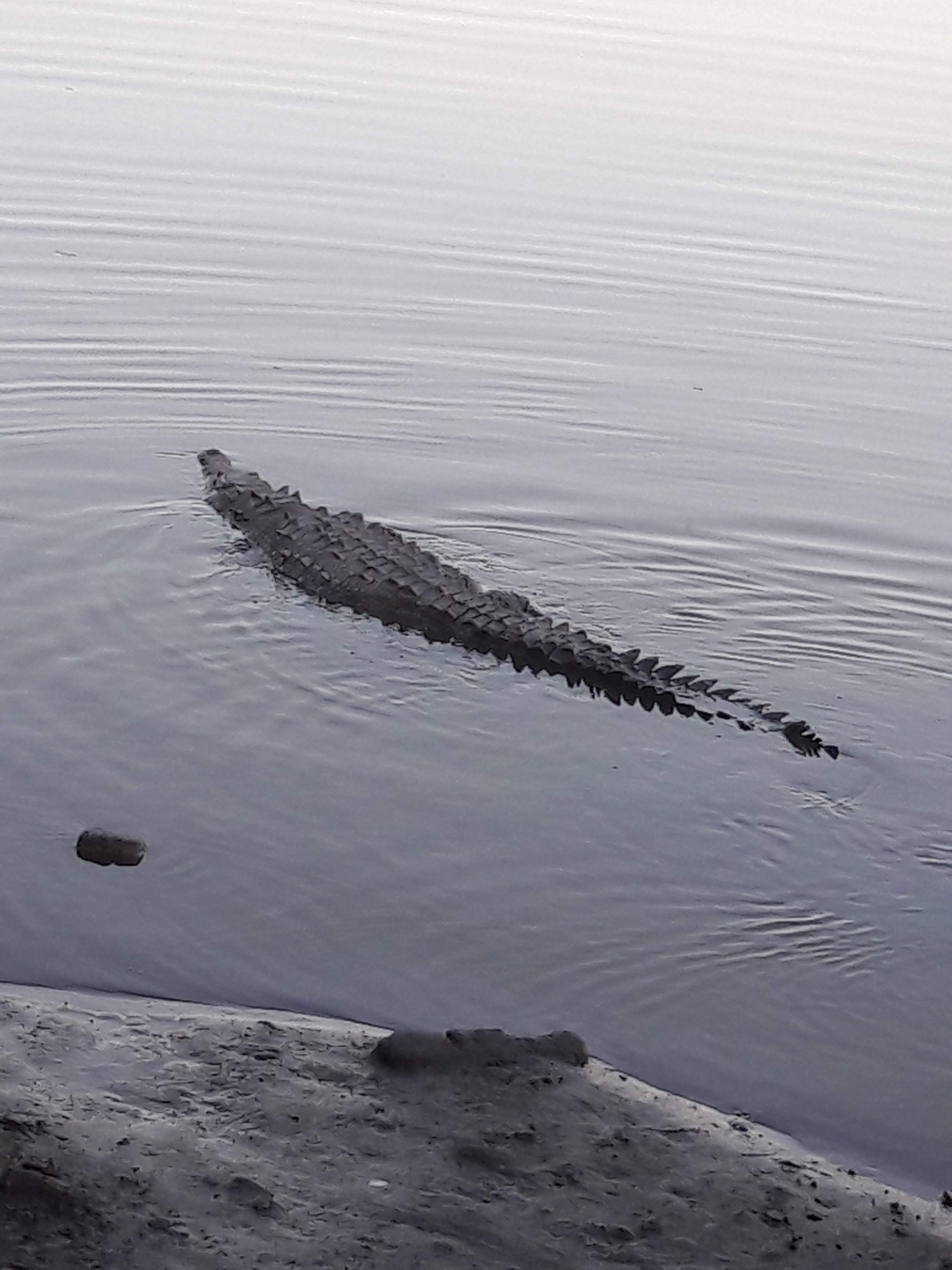 La Parrillada image 3