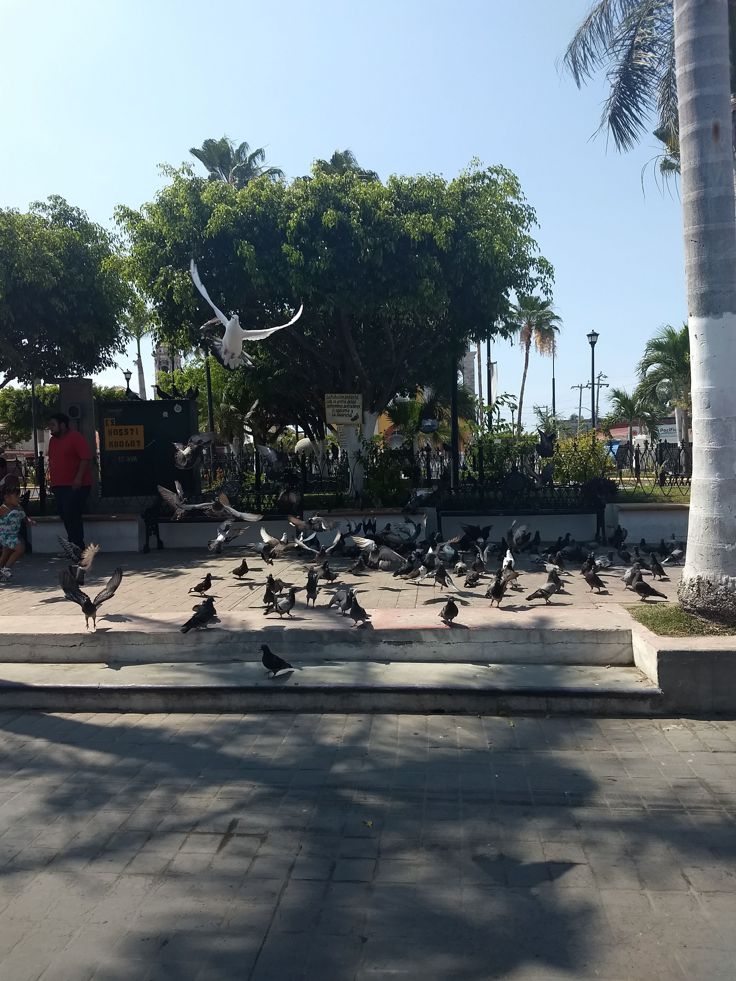 Pollos Fabián image 2