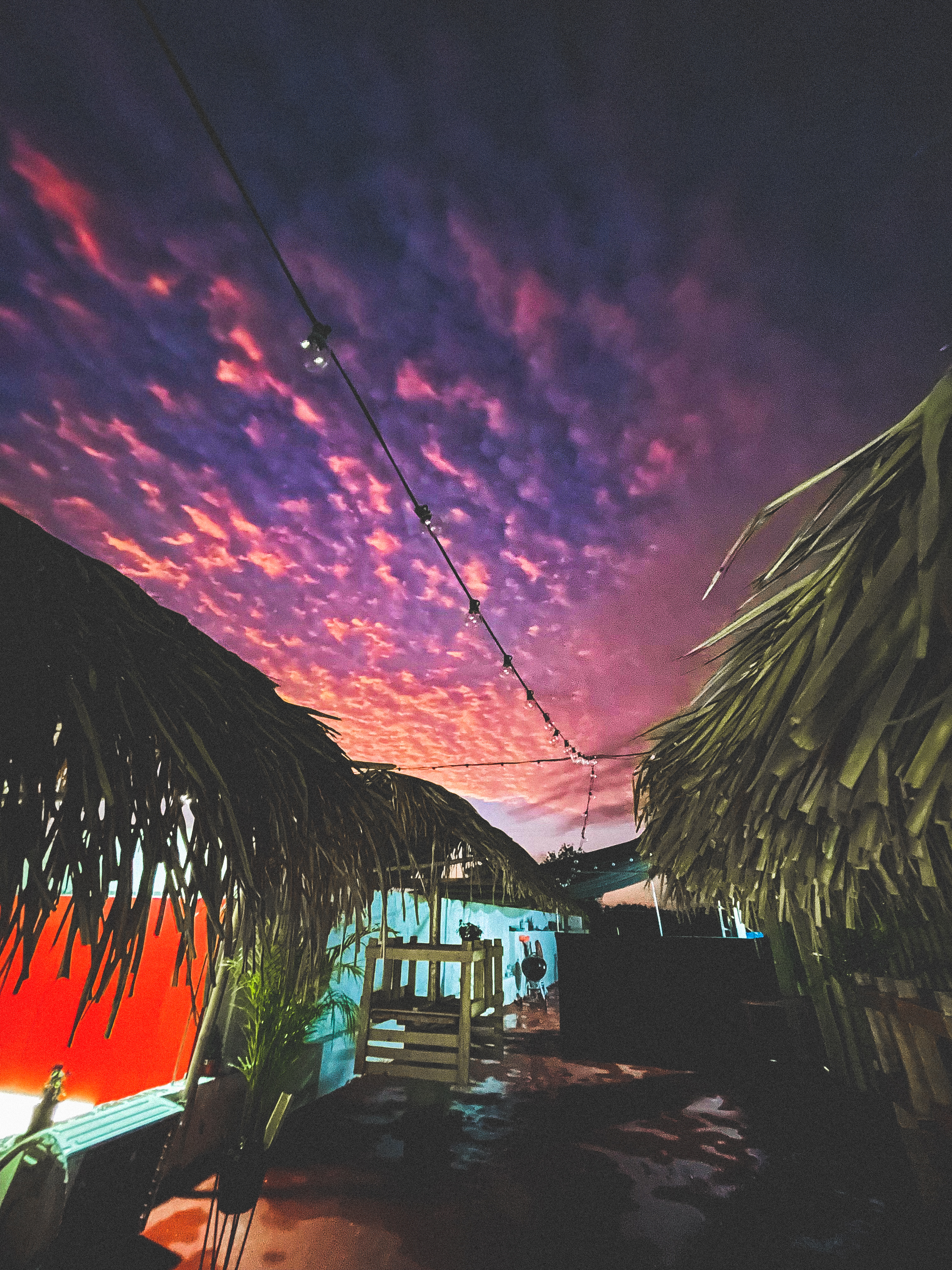 Las Pinchis Alitas San Blas image 8