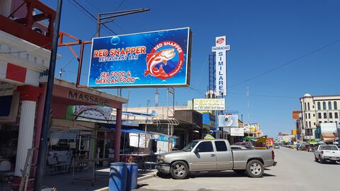 Chuy's Red Snapper image 1