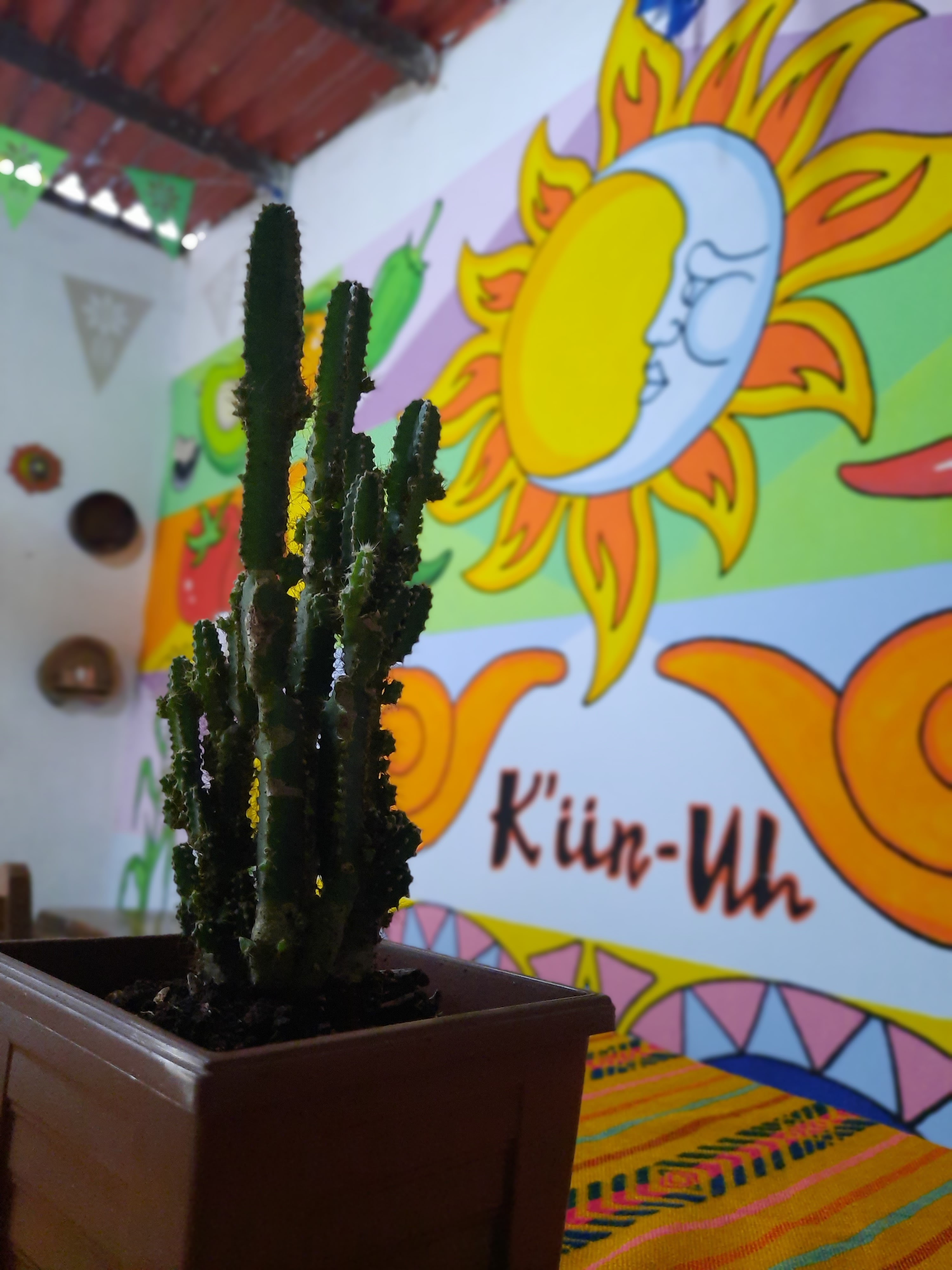 Loncheria K'iin - Uh image 9