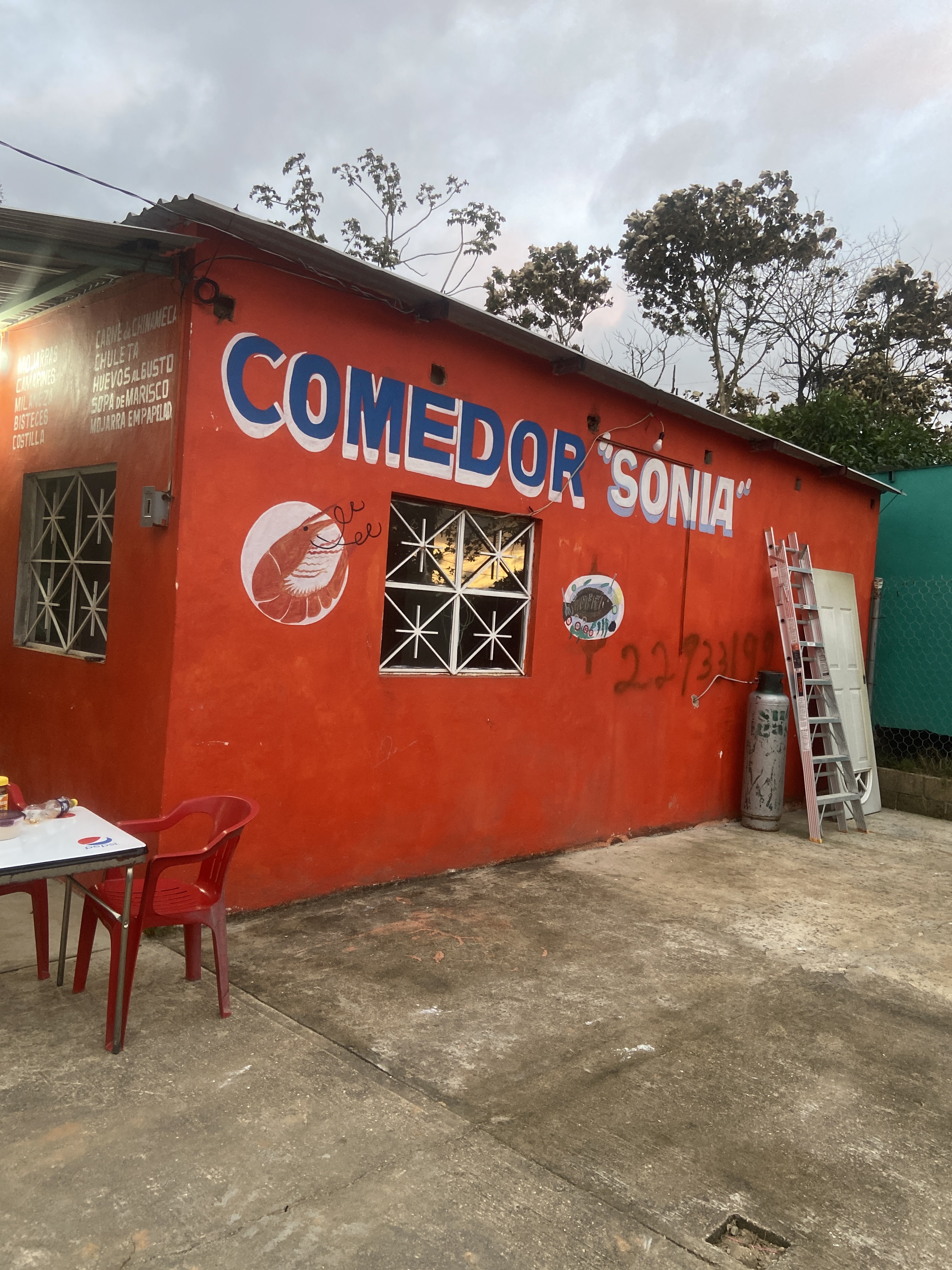 Comedor Sonia image 1