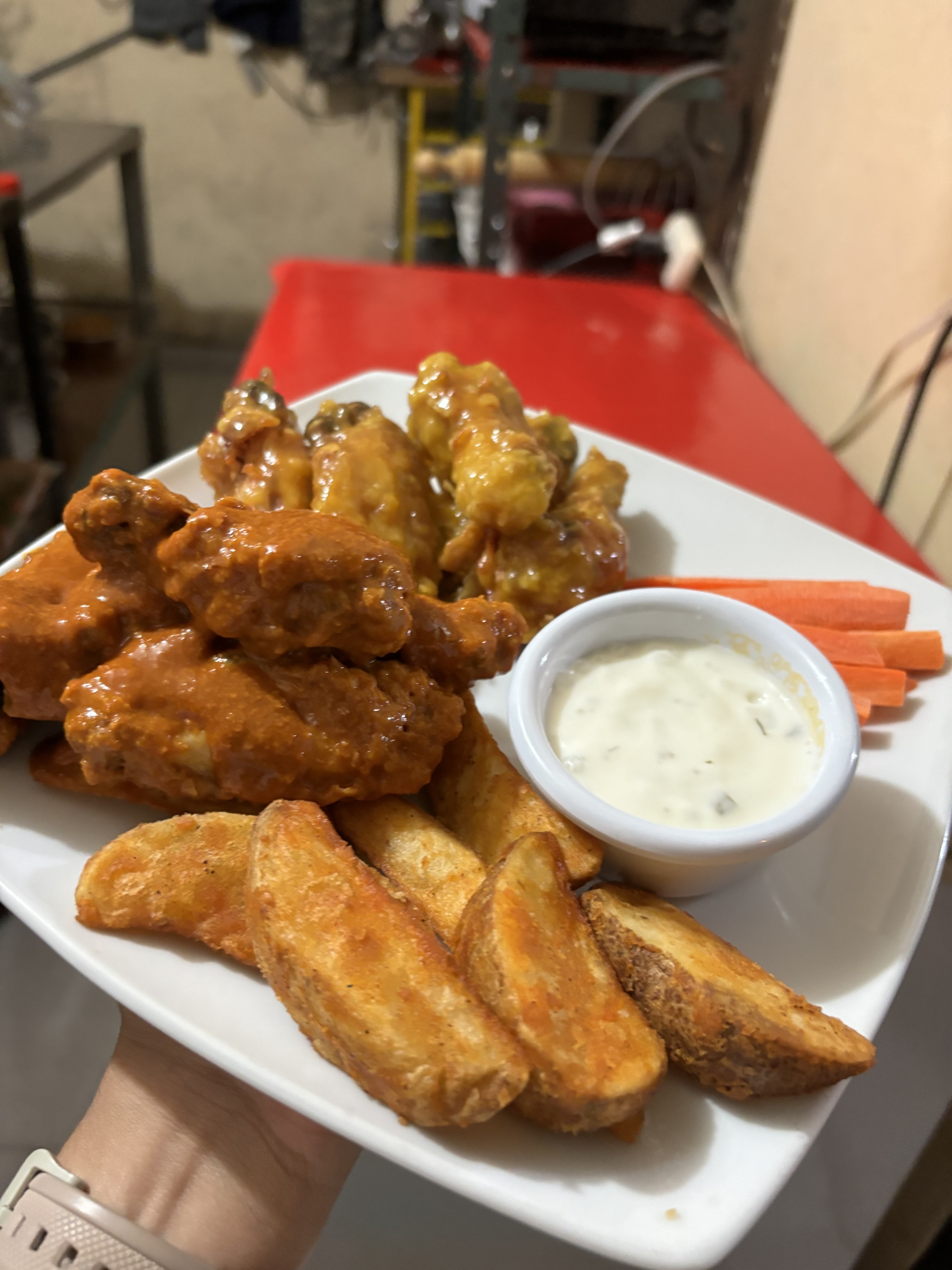 Brothers Wings ixhuatlan image 6