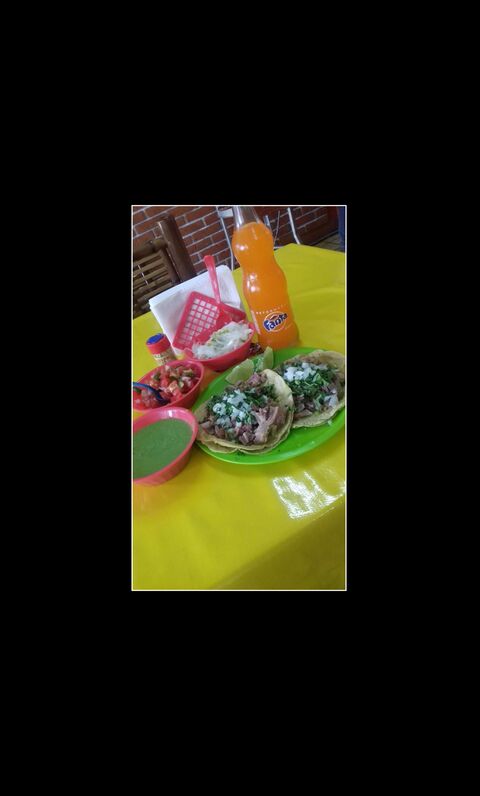 El señor taco image 8