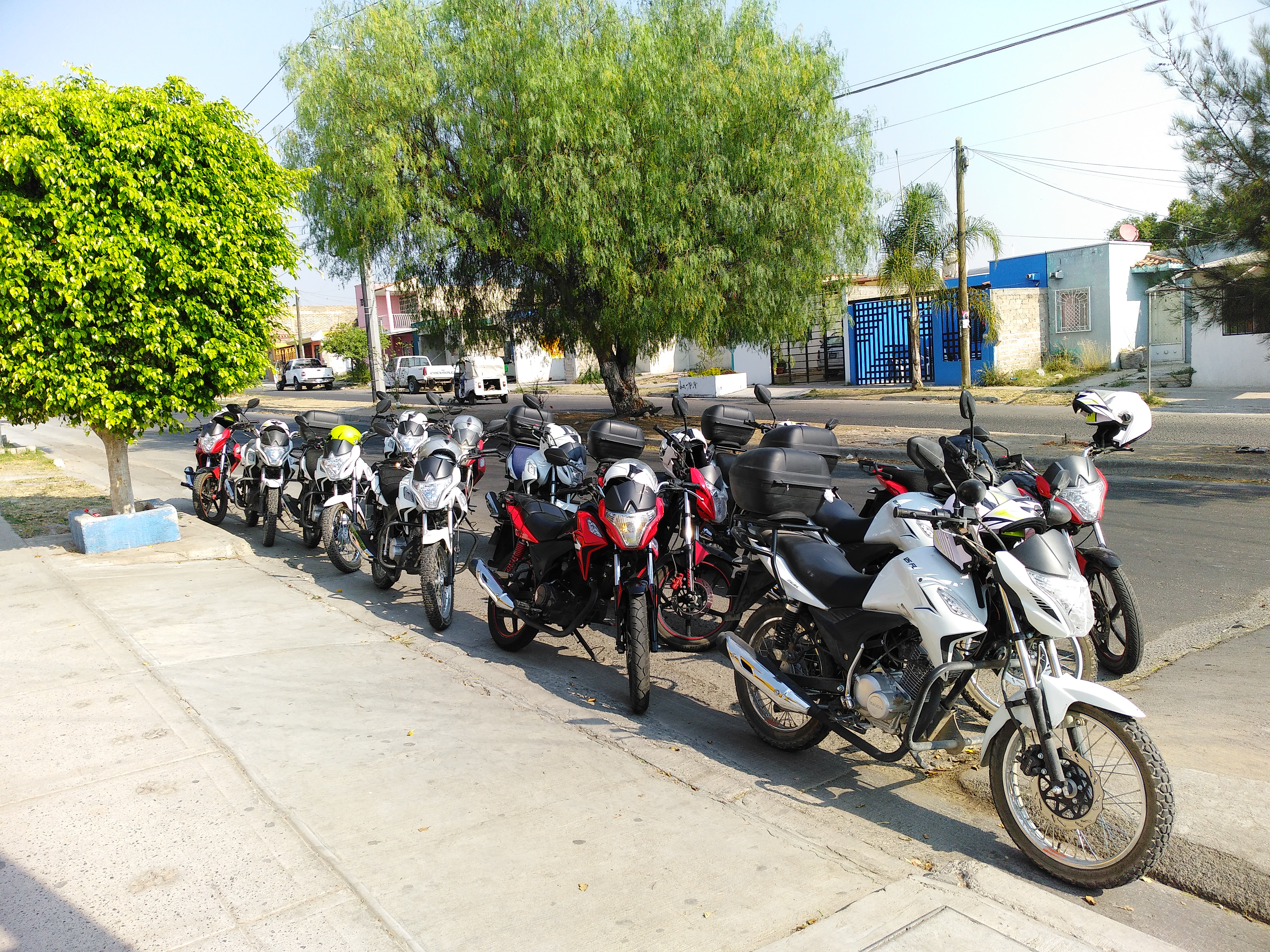 Tortas Ahogadas Diego image 6