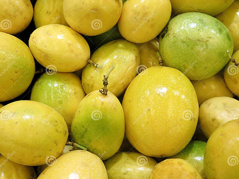 Antojitos EMMA image 7