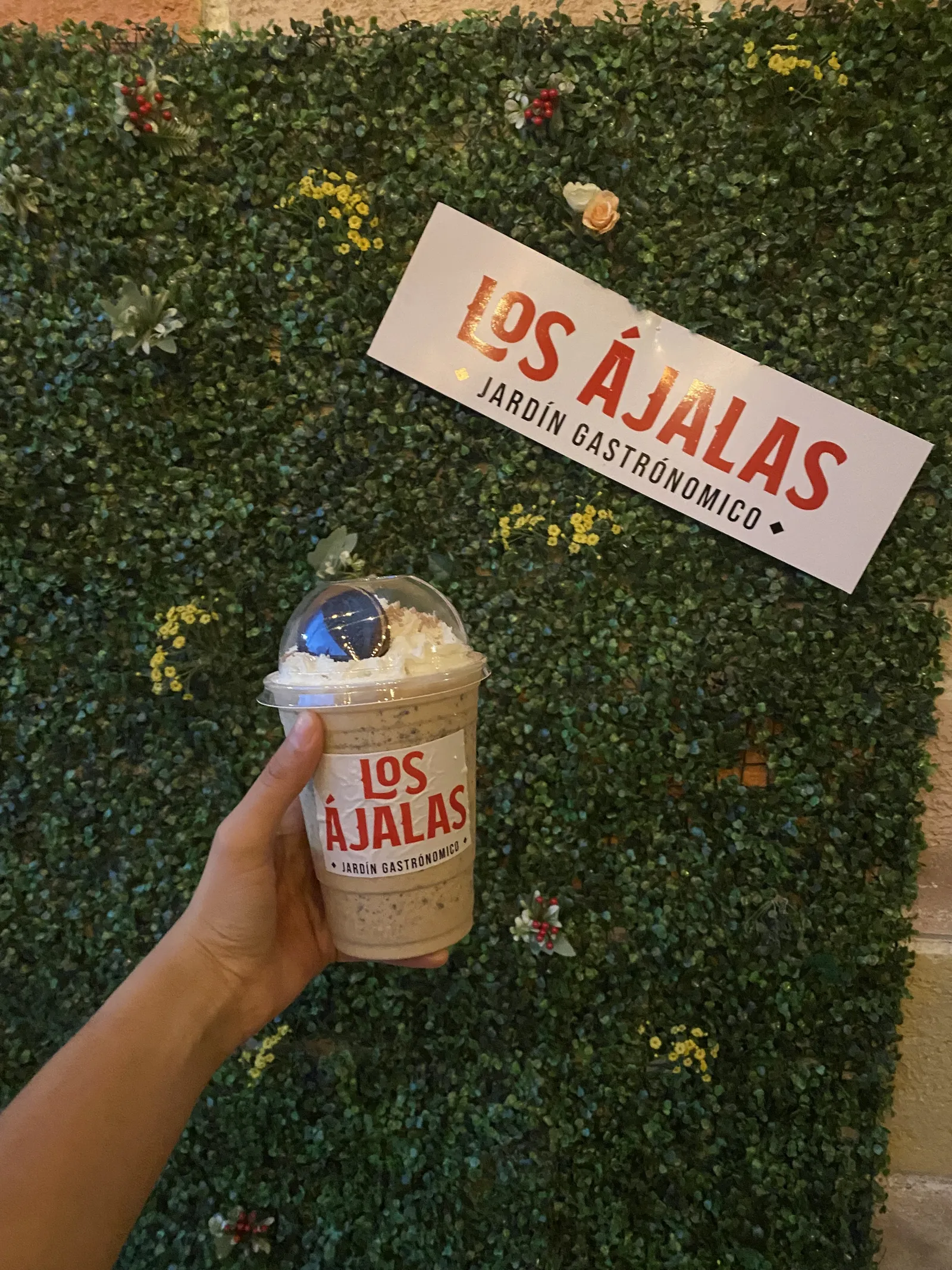 Los Ájalas image 9