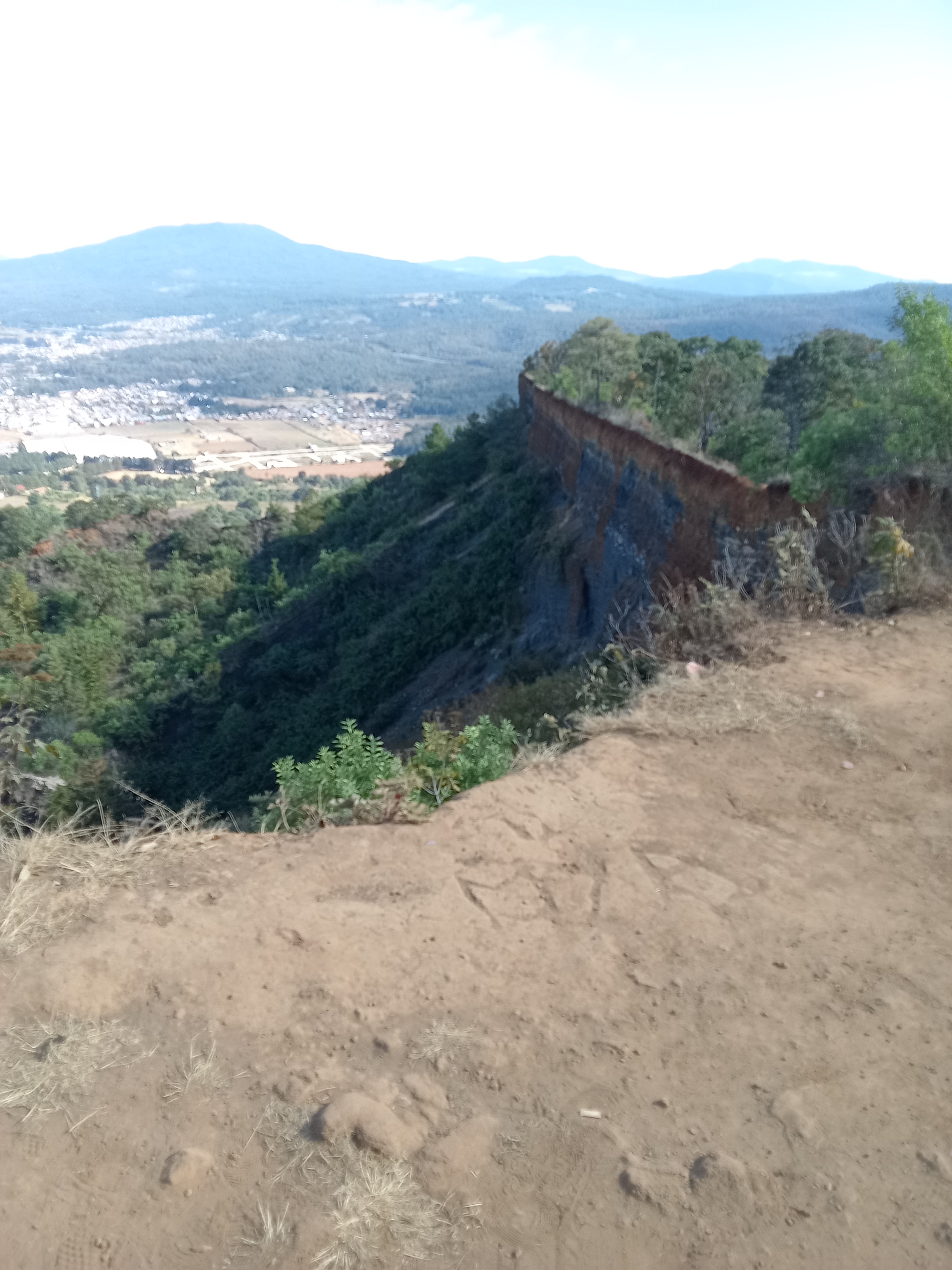 Mariscos Javi image 1