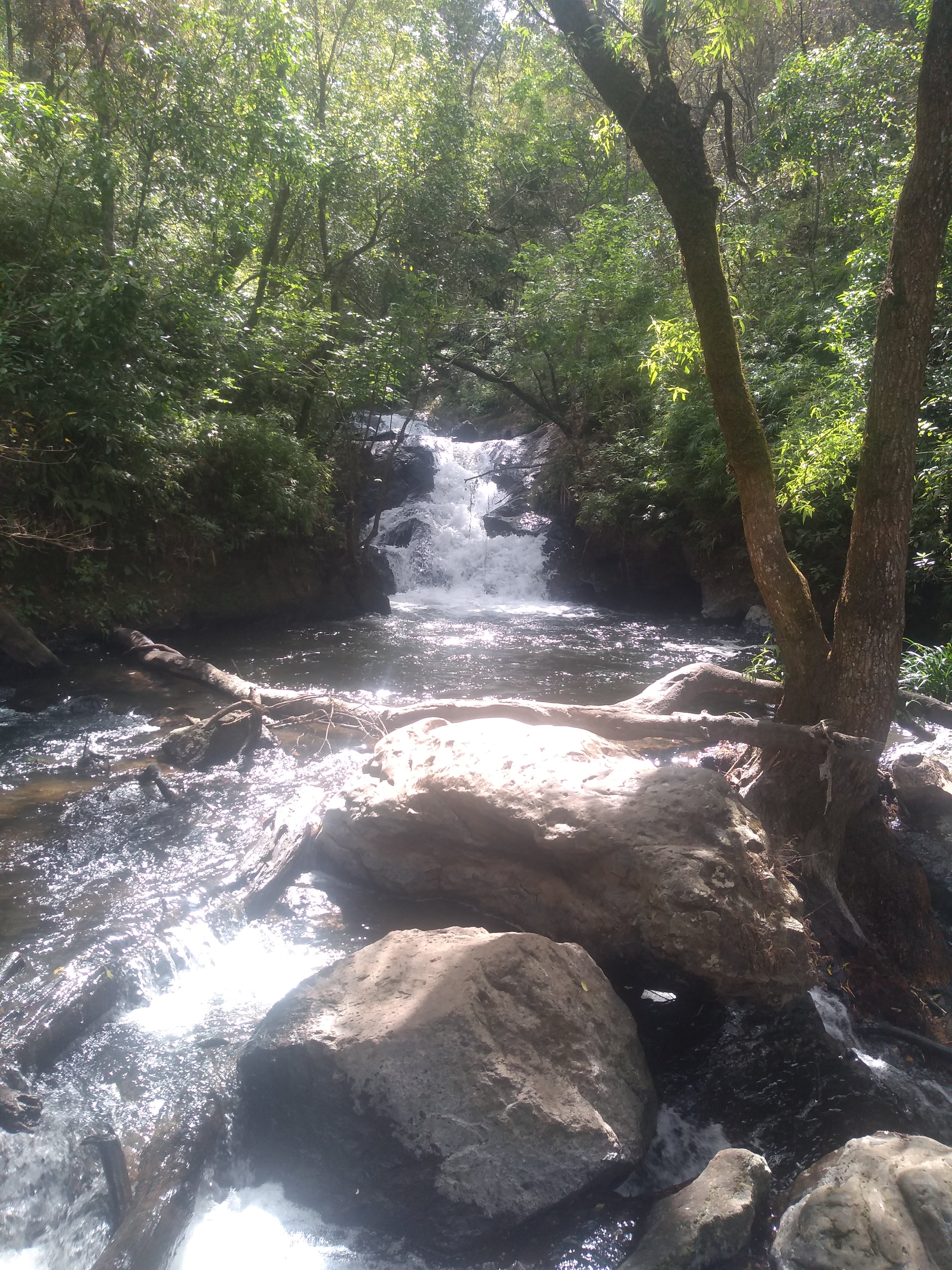 Antojitos Mexicanos Cenas La pareja image 3