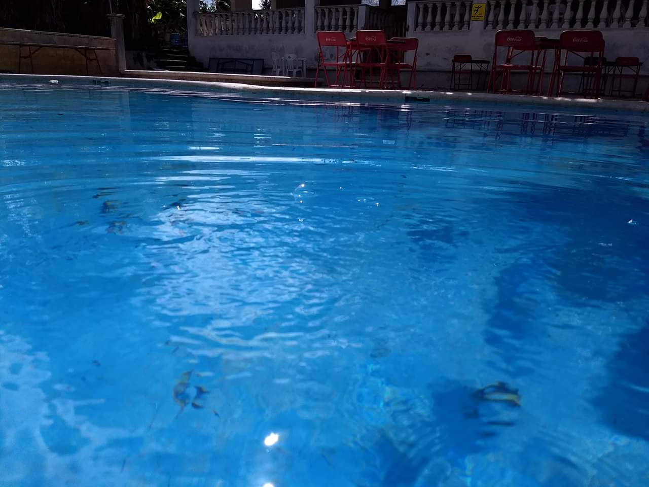 Balneario Luz María image 8
