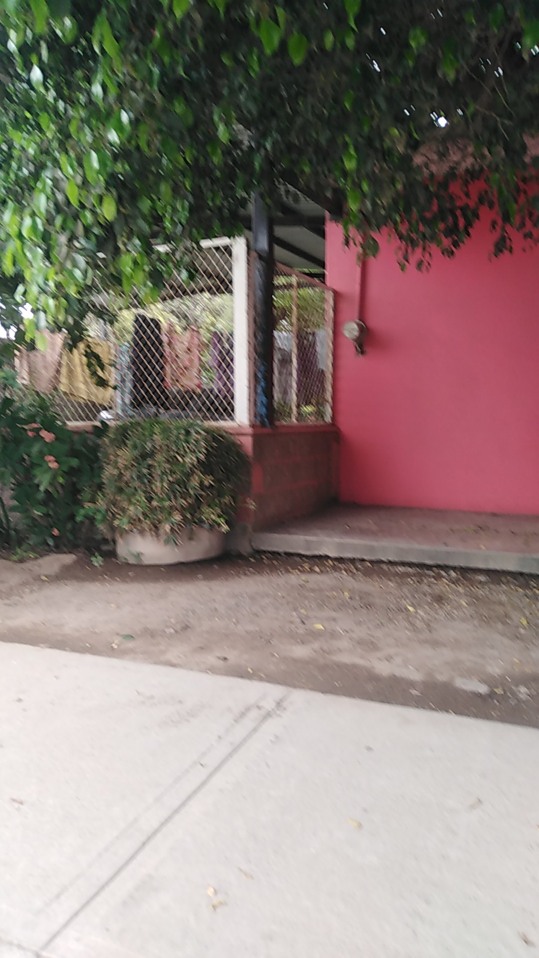 Birrieria la unica image 7