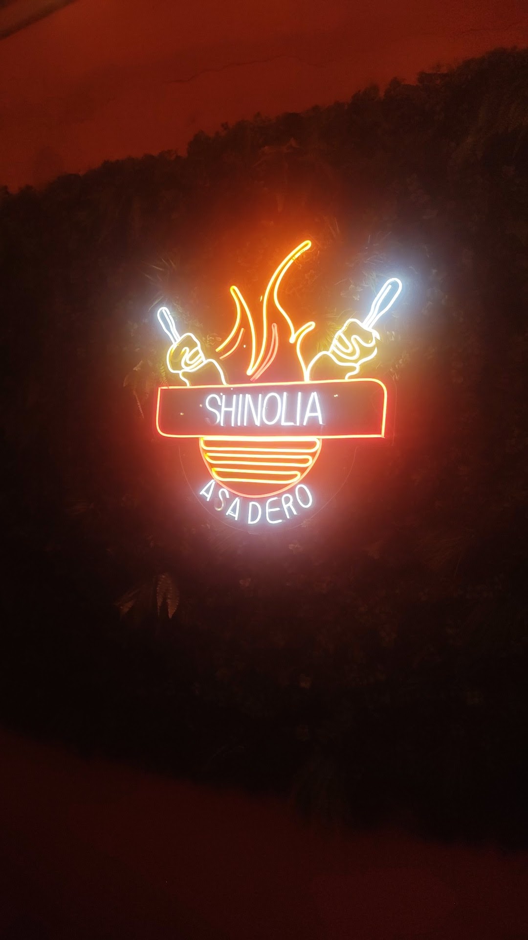 Asadero shinolia image 3