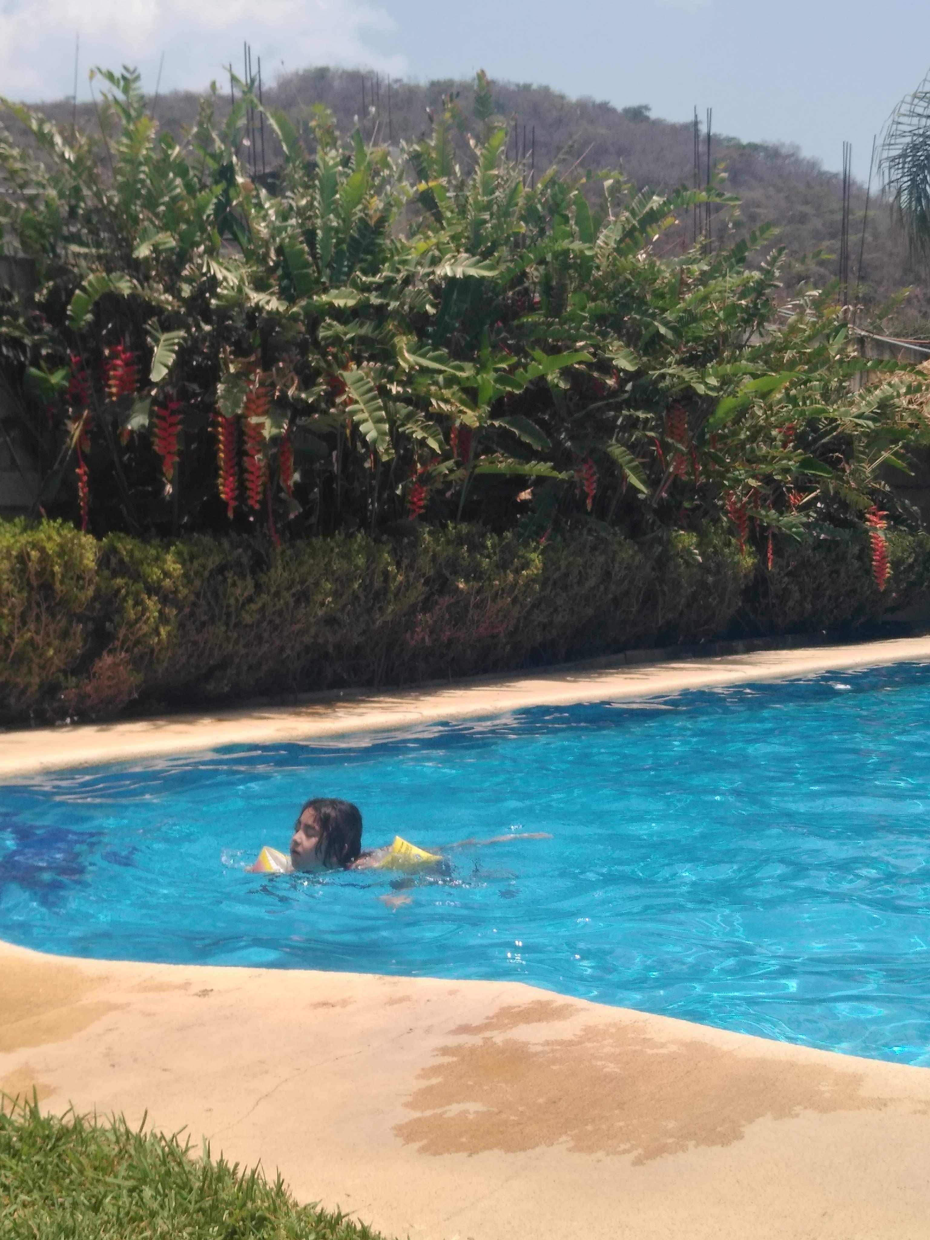 Restaurante de Pescados y Mariscos TIKOS image 2