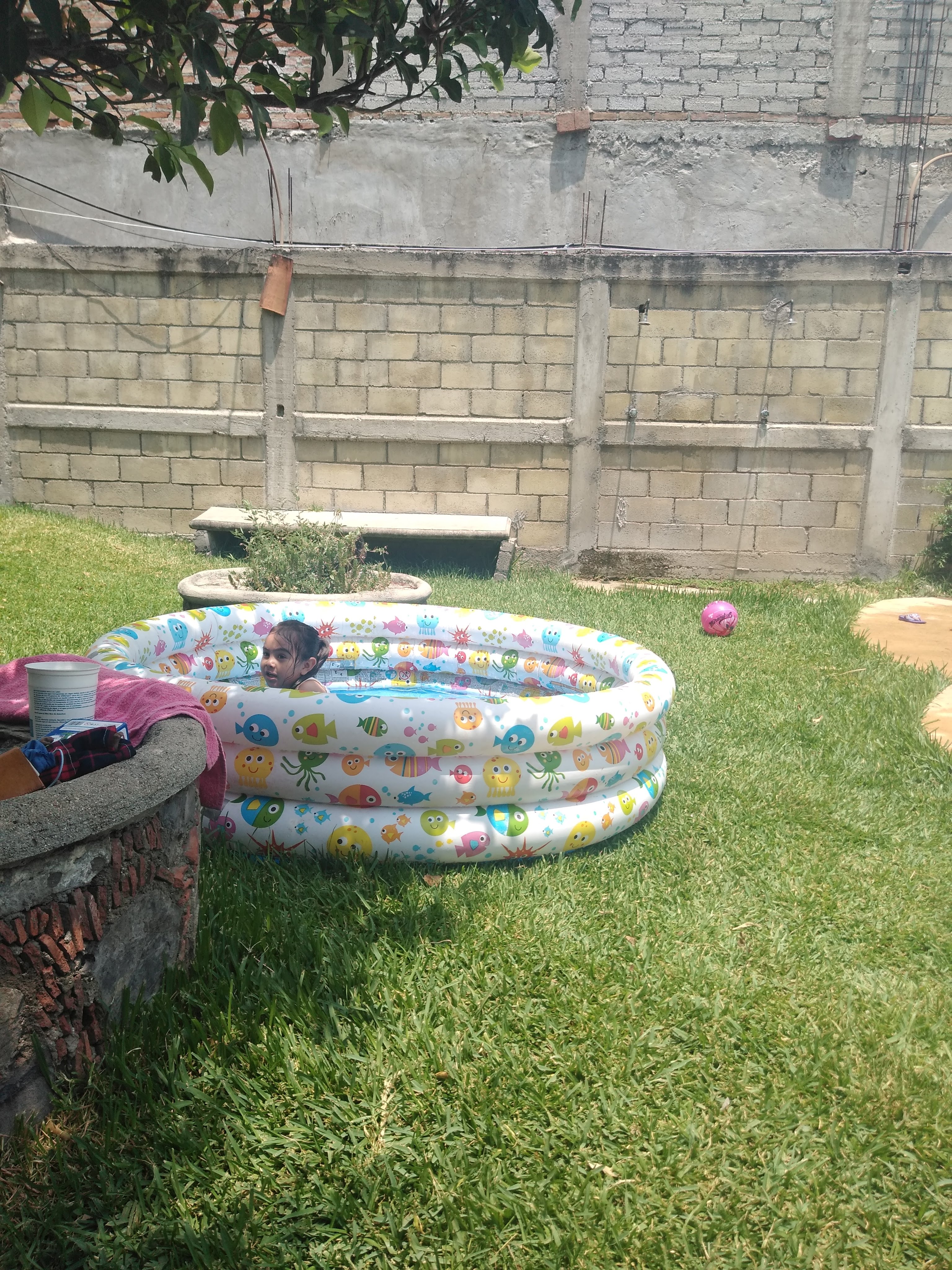 Restaurante de Pescados y Mariscos TIKOS image 3