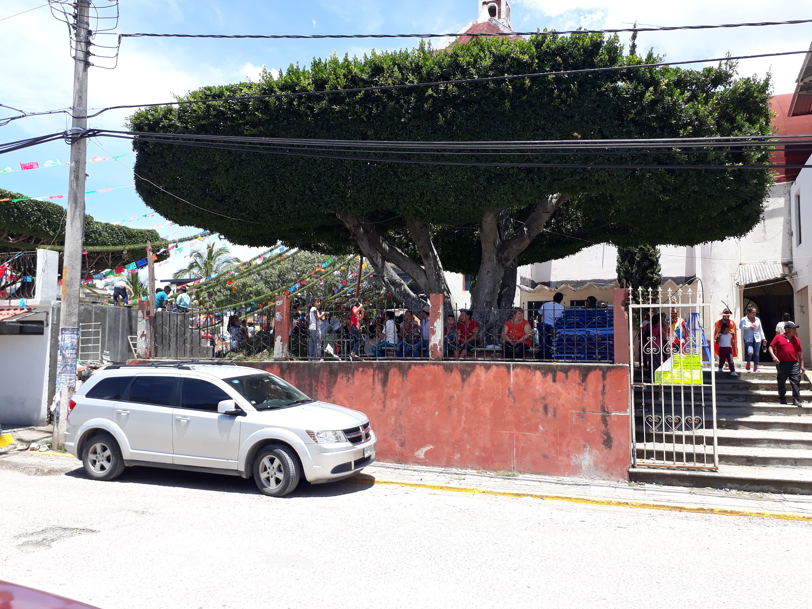 Pizzas Jerry's image 3