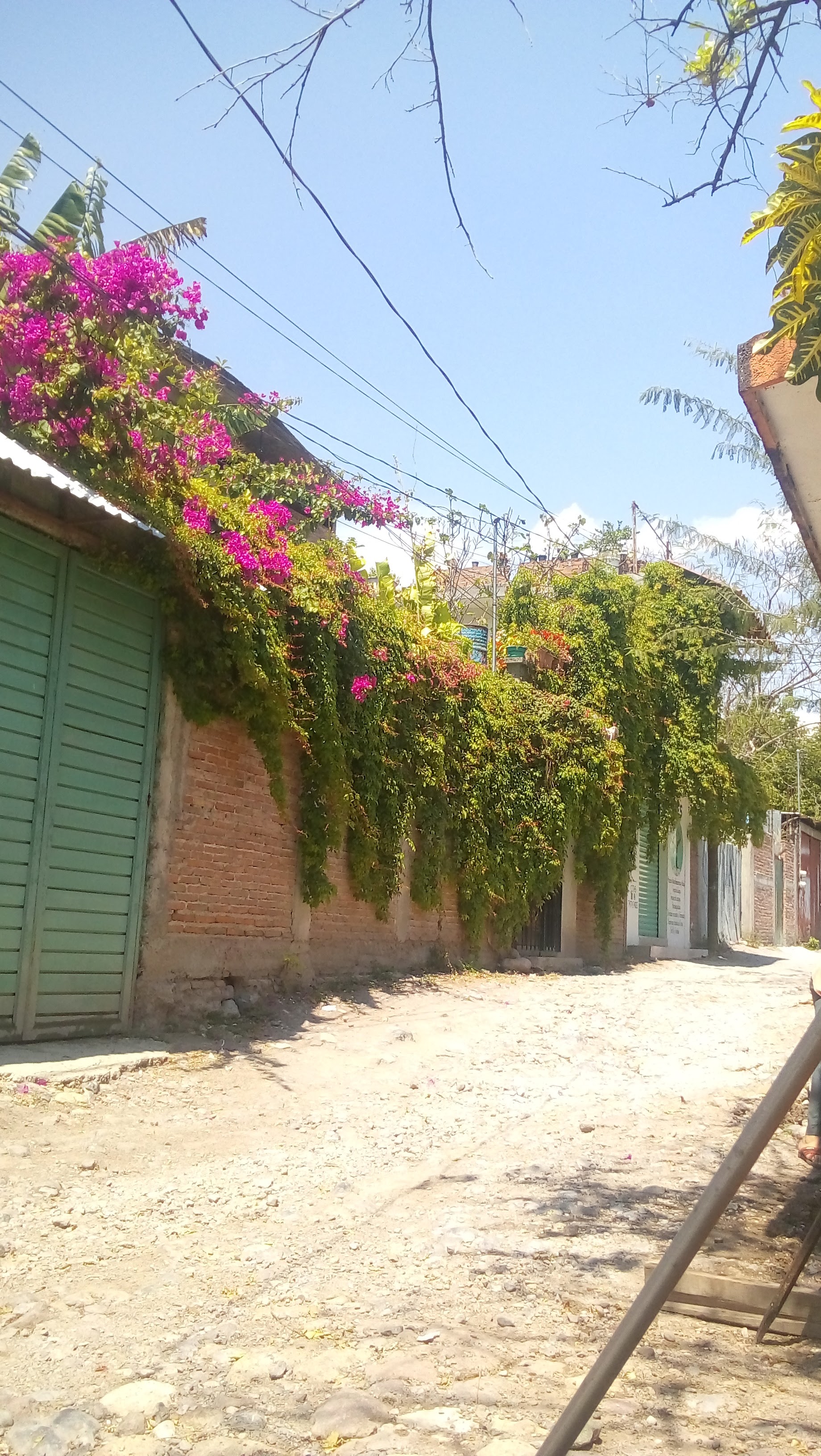 Pizzas Jerry's image 6